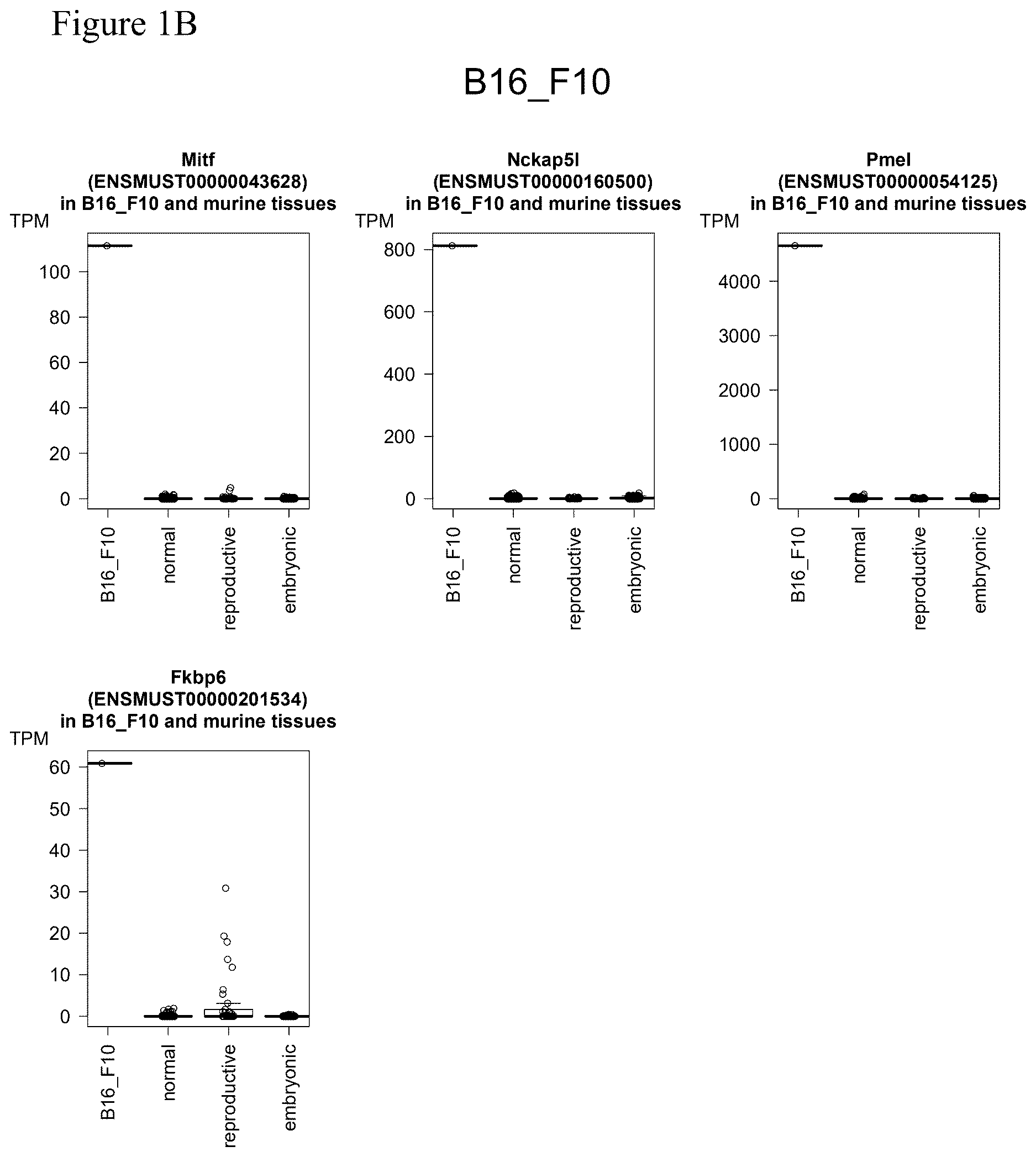 Patent US12611449 Figure 2 – Individualized vaccines for cancer