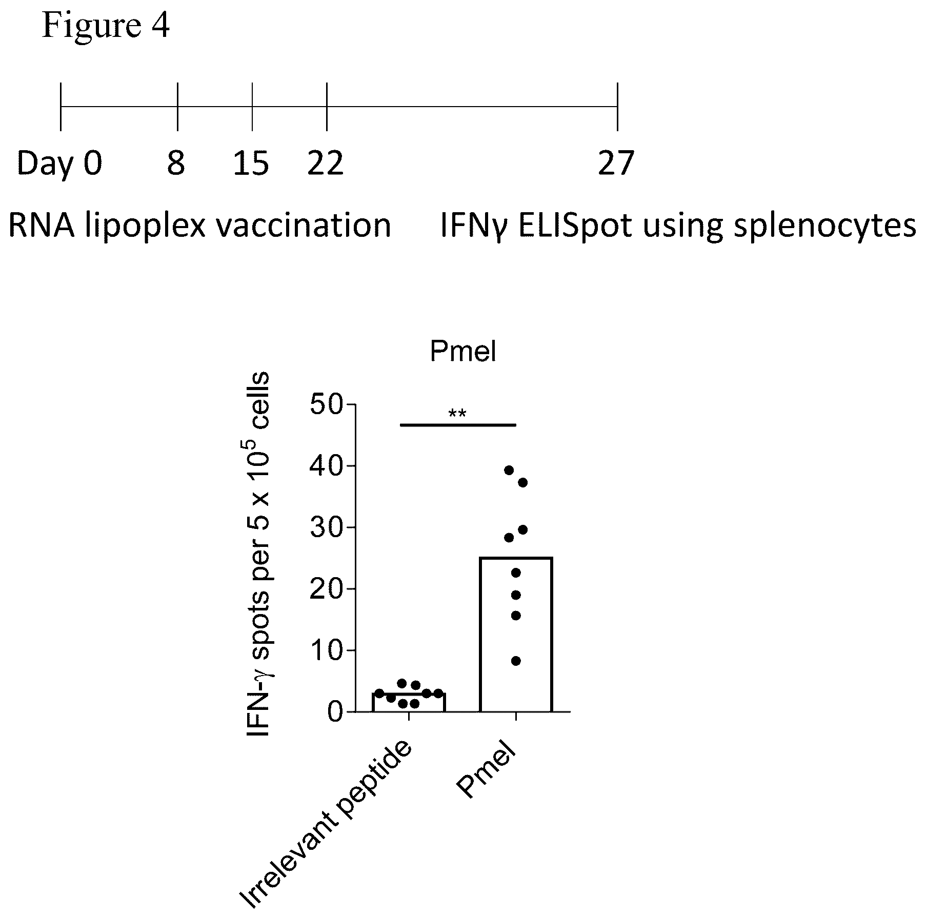 Patent US12611449 Figure 5 – Individualized vaccines for cancer