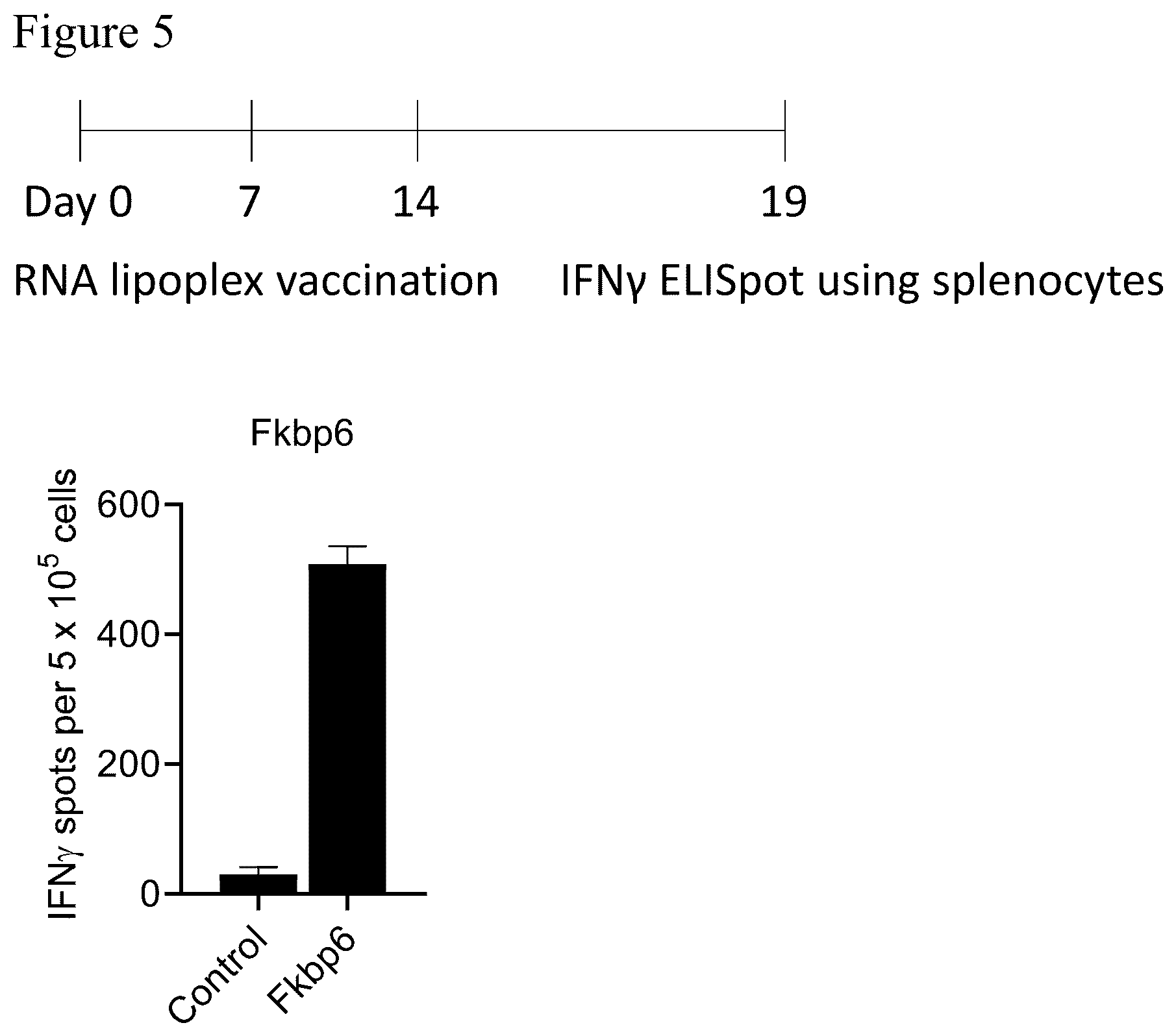 Patent US12611449 Figure 6 – Individualized vaccines for cancer