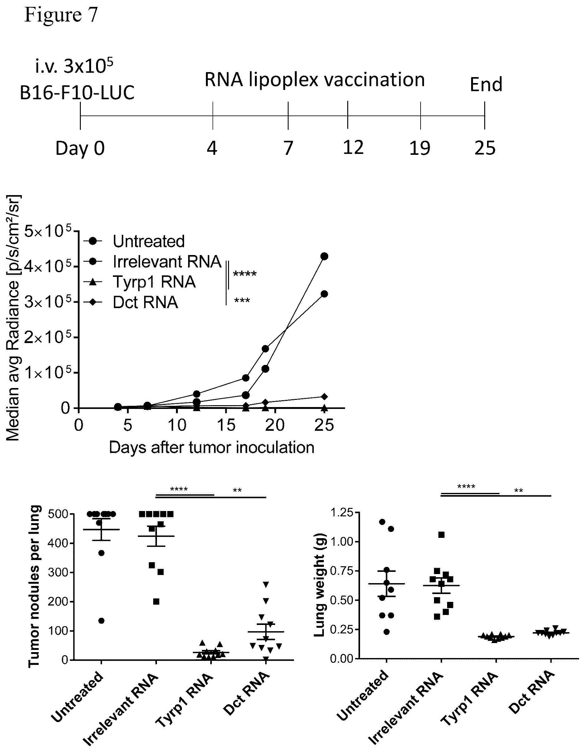 Patent US12611449 Figure 8 – Individualized vaccines for cancer