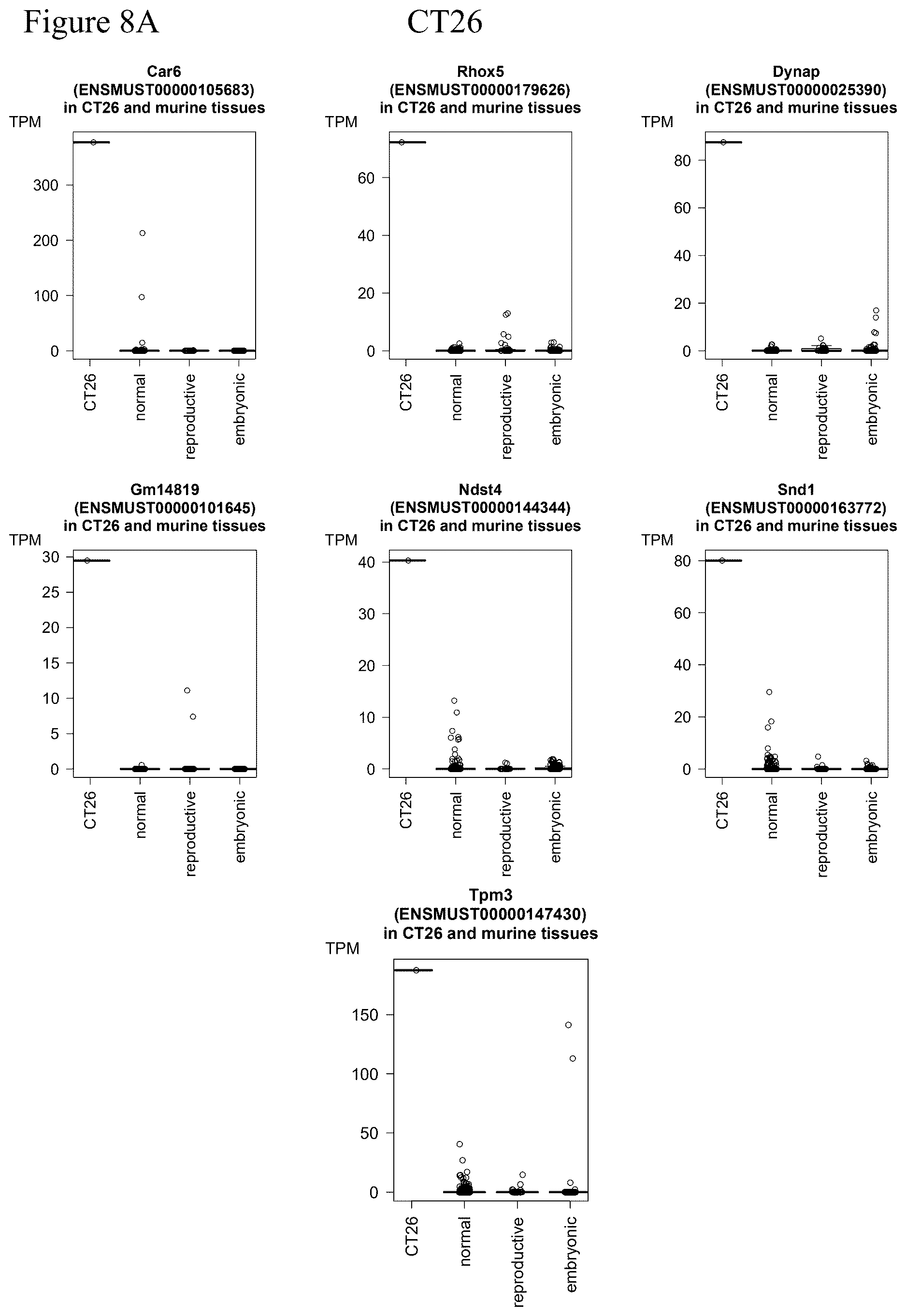 Patent US12611449 Figure 9 – Individualized vaccines for cancer