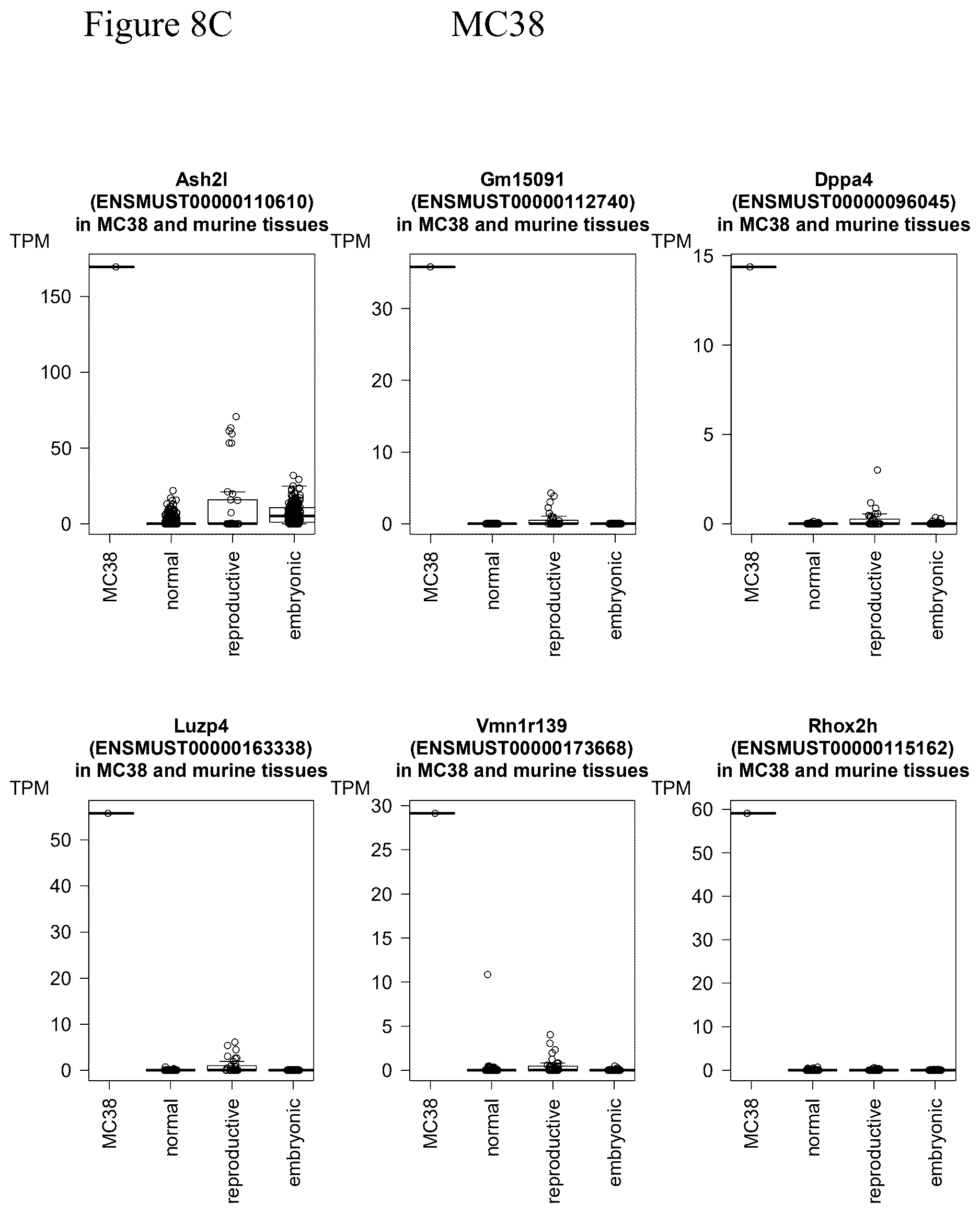 Patent US12611449 Figure 11 – Individualized vaccines for cancer