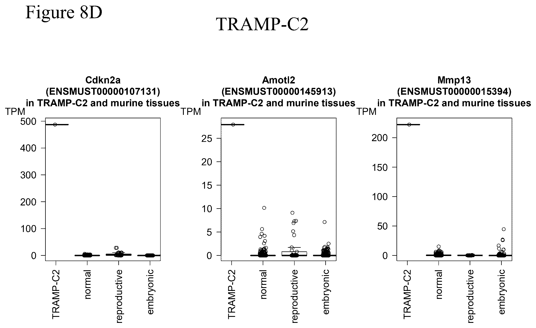 Patent US12611449 Figure 12 – Individualized vaccines for cancer