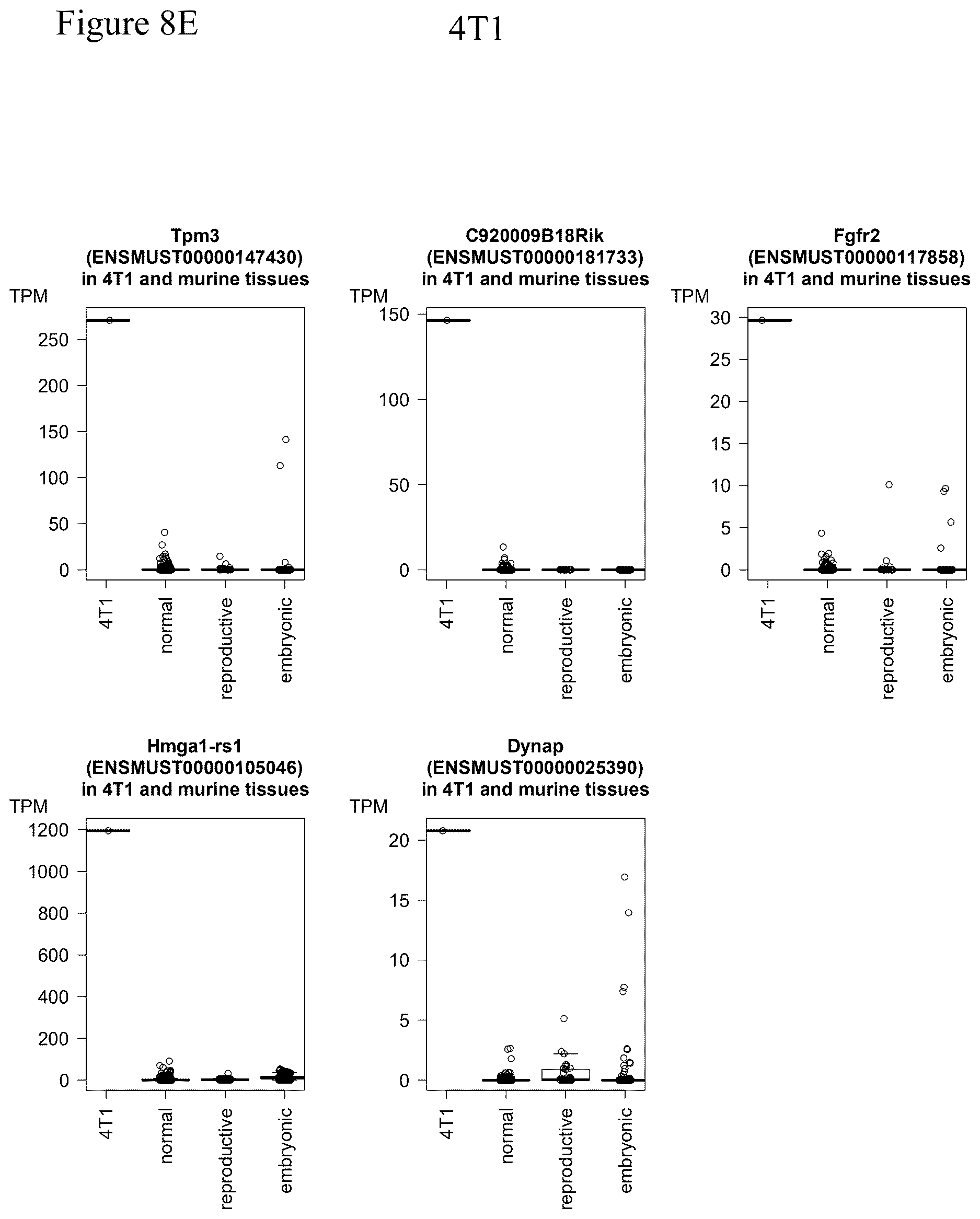 Patent US12611449 Figure 13 – Individualized vaccines for cancer