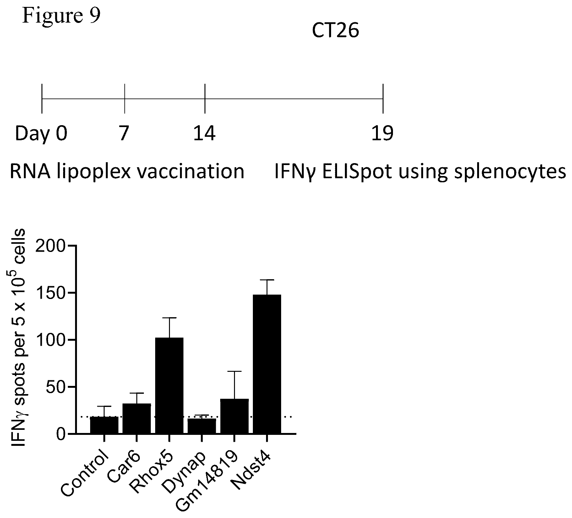 Patent US12611449 Figure 14 – Individualized vaccines for cancer
