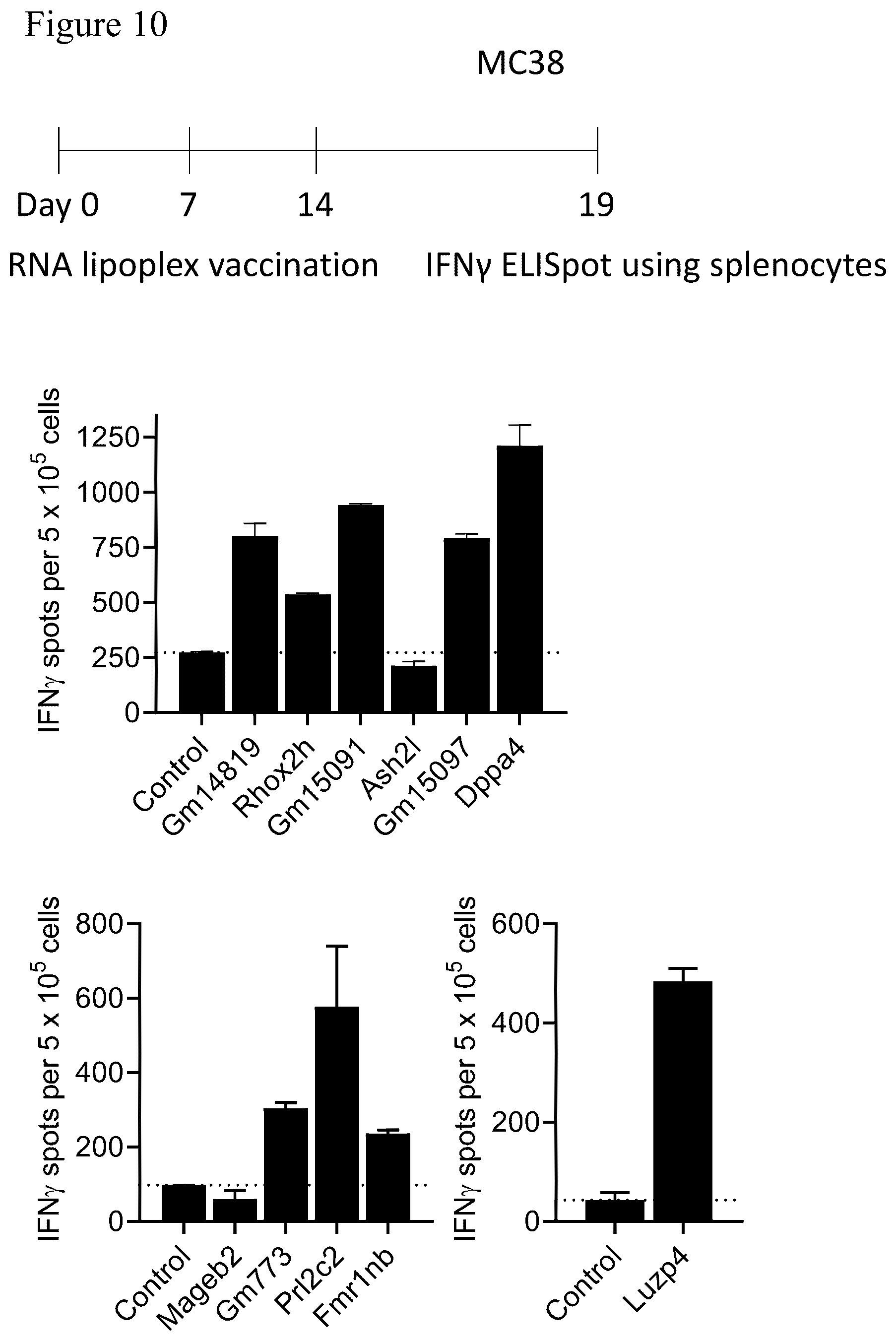 Patent US12611449 Figure 15 – Individualized vaccines for cancer