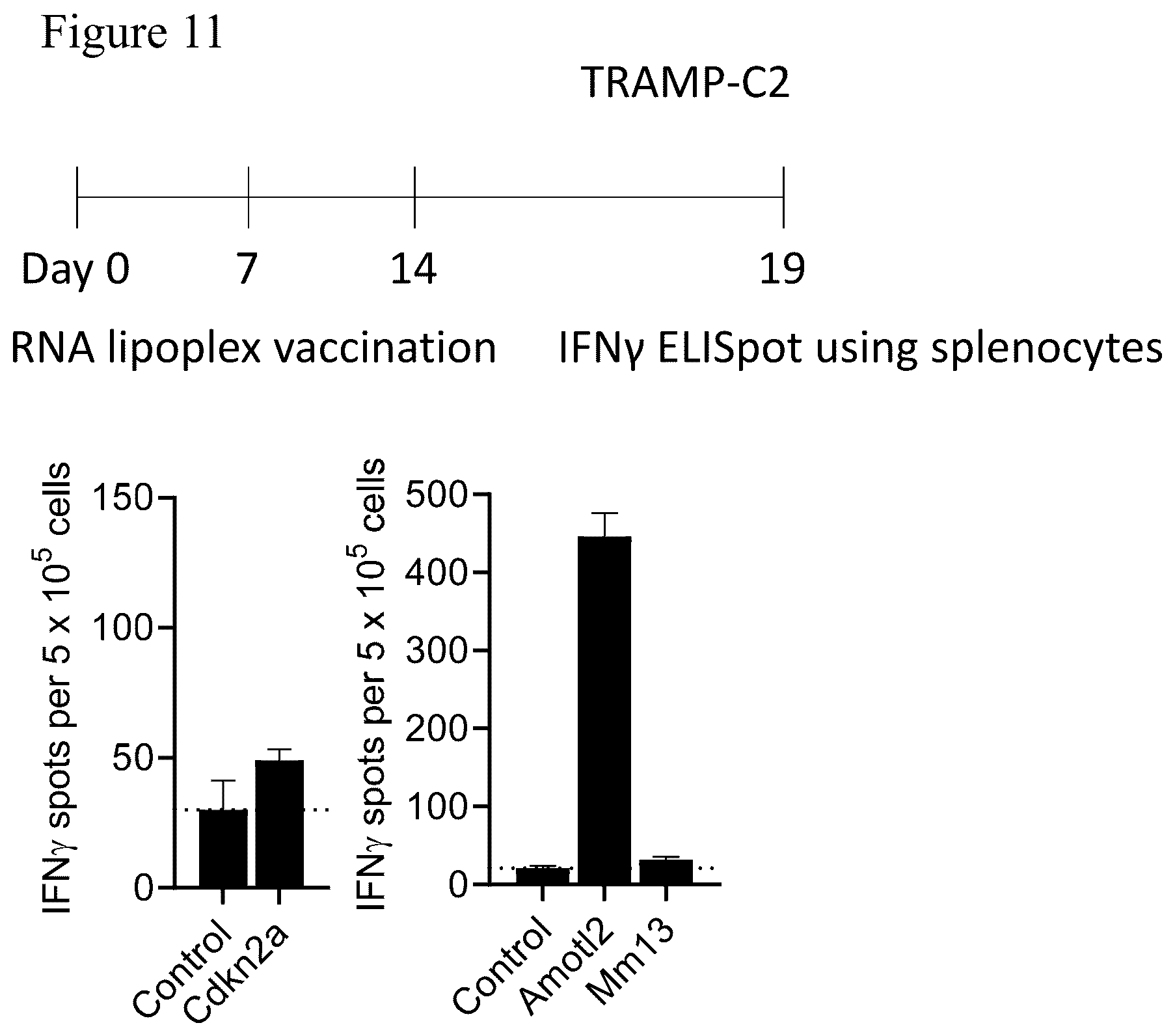 Patent US12611449 Figure 16 – Individualized vaccines for cancer