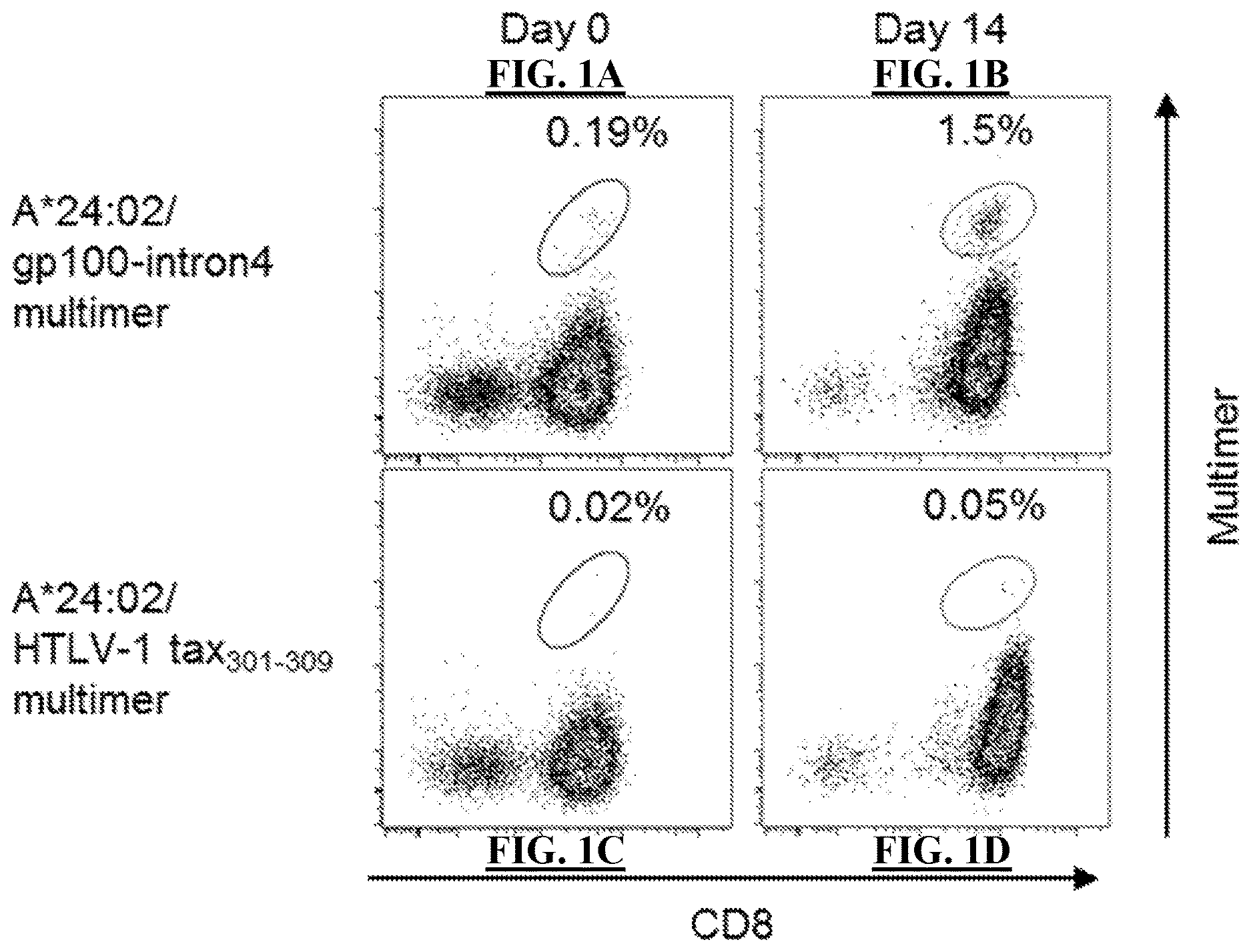 Patent US12611450 Figure 1 – T cell receptors and methods of use thereof