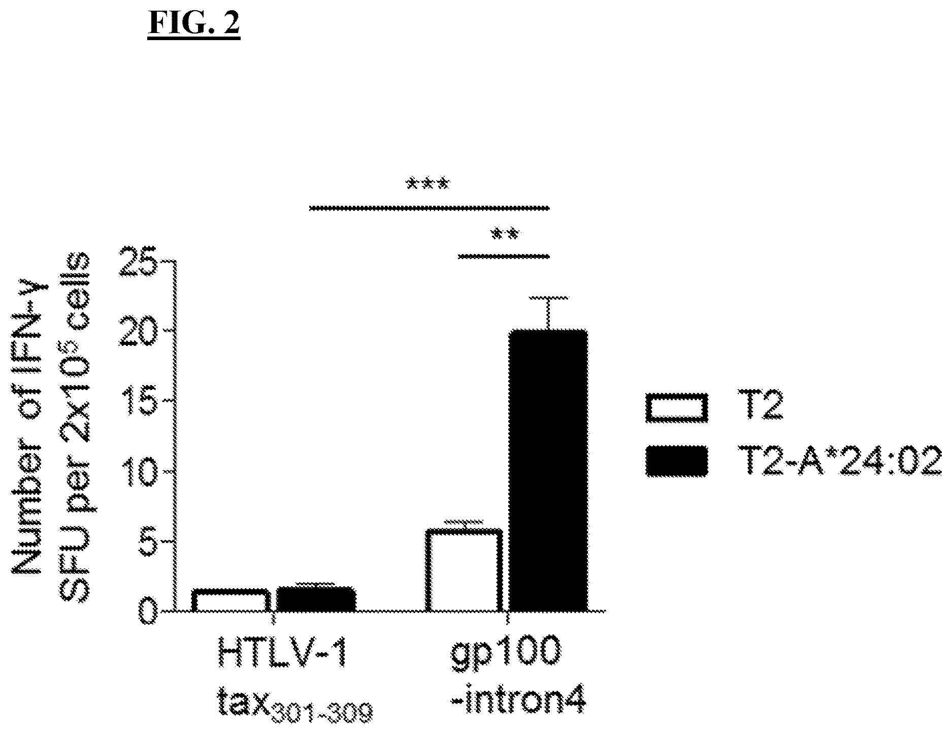 Patent US12611450 Figure 2 – T cell receptors and methods of use thereof