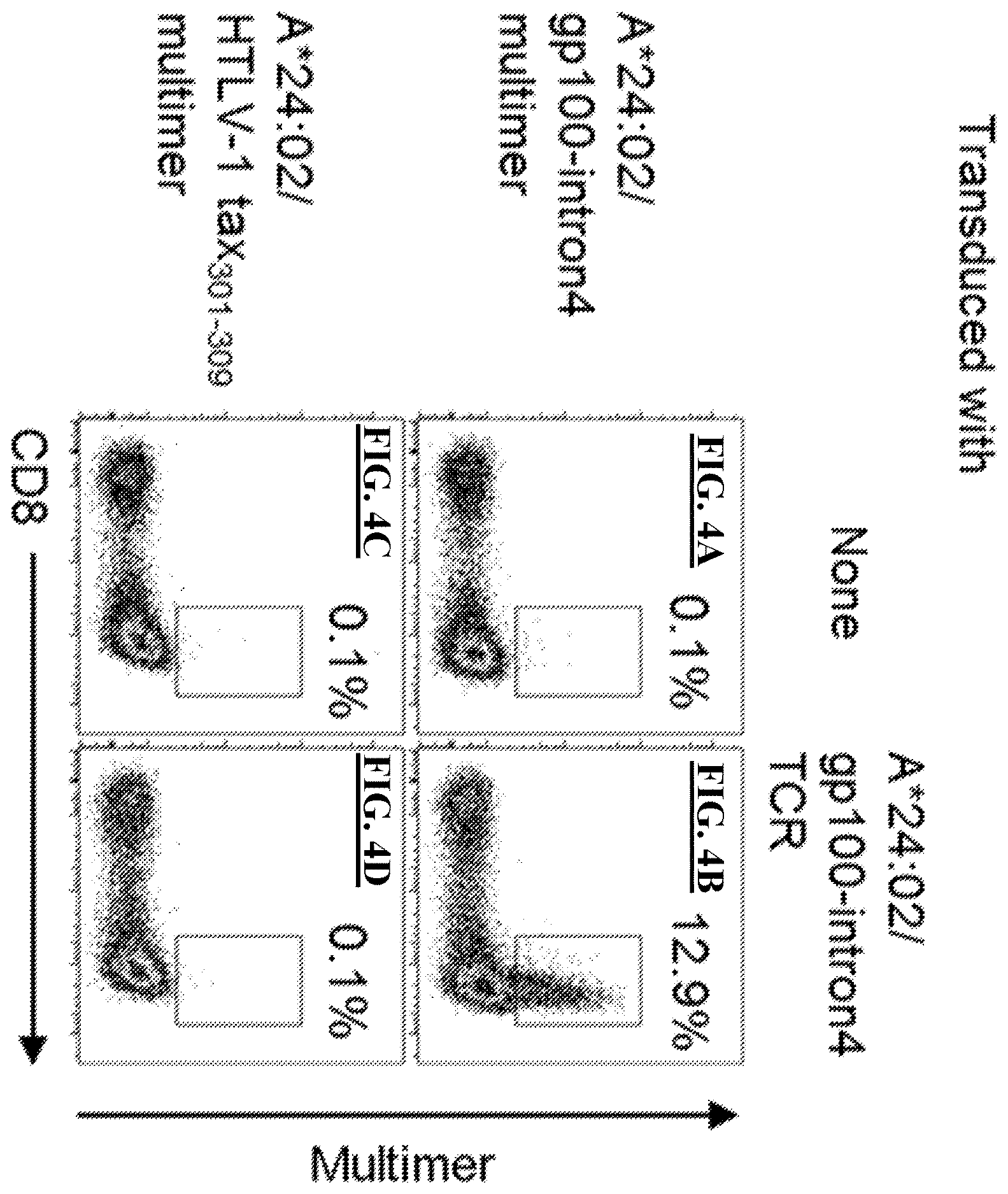 Patent US12611450 Figure 4 – T cell receptors and methods of use thereof