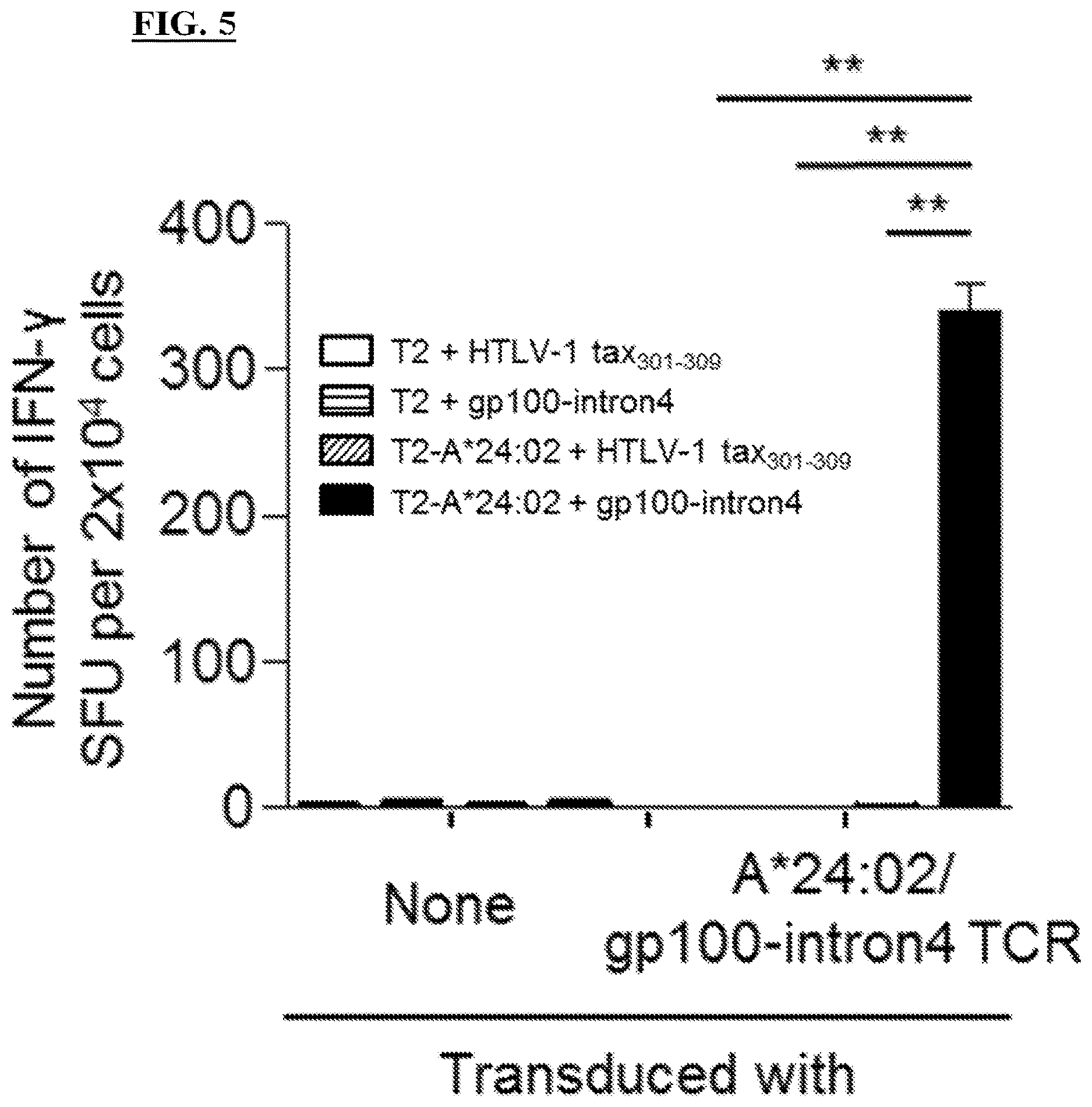 Patent US12611450 Figure 5 – T cell receptors and methods of use thereof