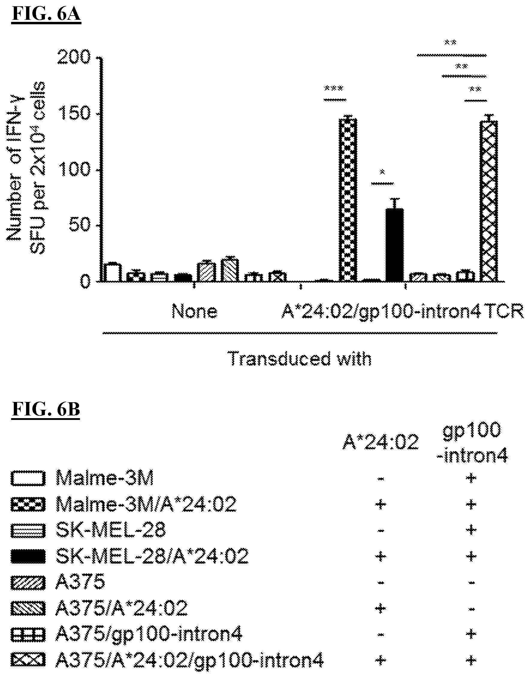 Patent US12611450 Figure 6 – T cell receptors and methods of use thereof