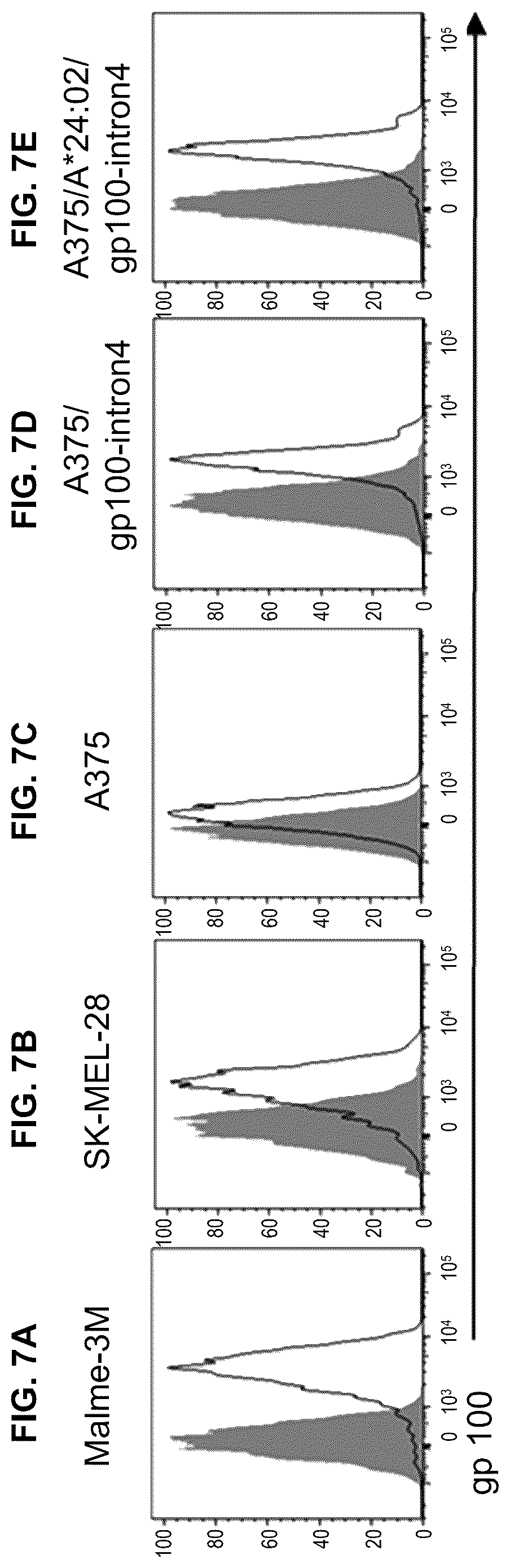 Patent US12611450 Figure 7 – T cell receptors and methods of use thereof