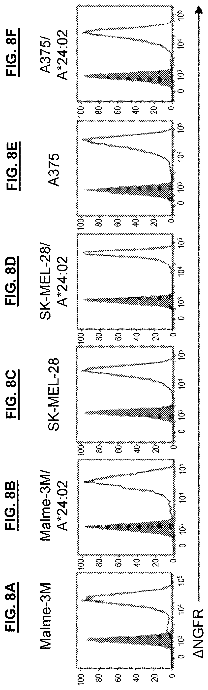 Patent US12611450 Figure 8 – T cell receptors and methods of use thereof