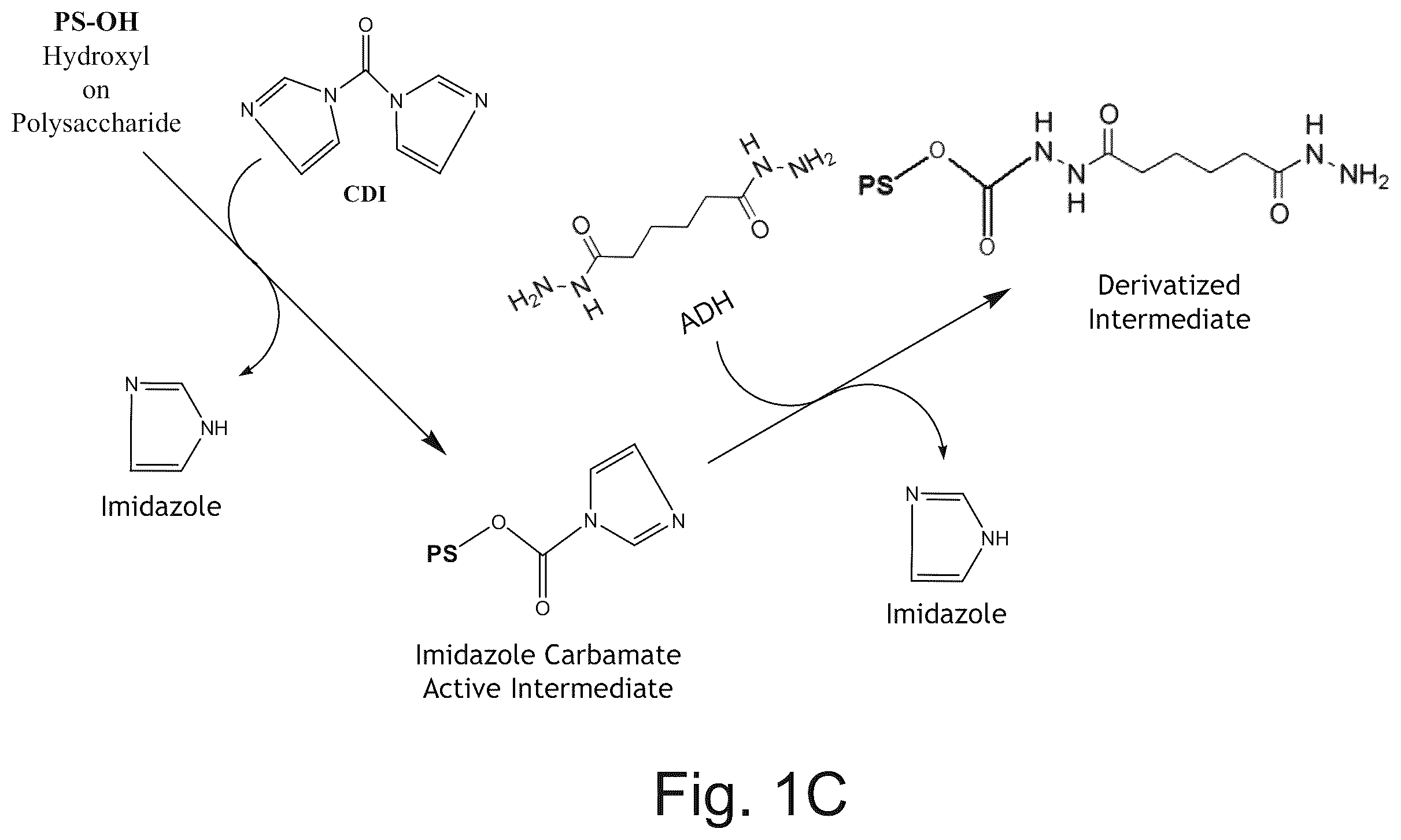 Patent US12611451 Figure 2 – Neisseria meningitidis vaccine