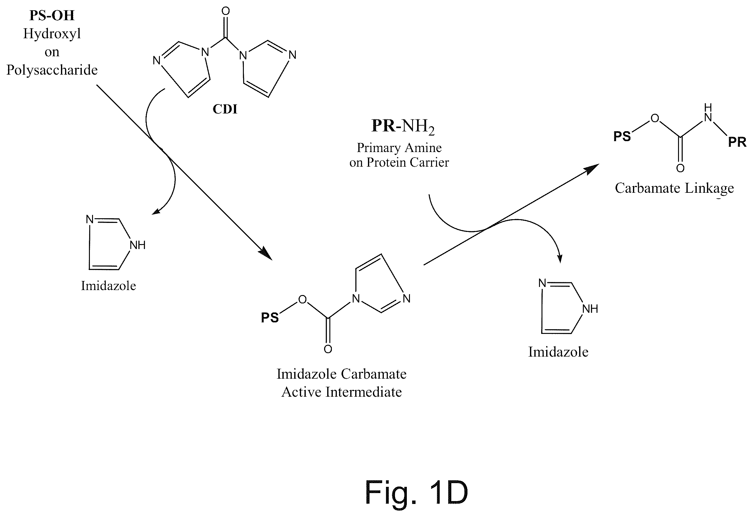 Patent US12611451 Figure 3 – Neisseria meningitidis vaccine