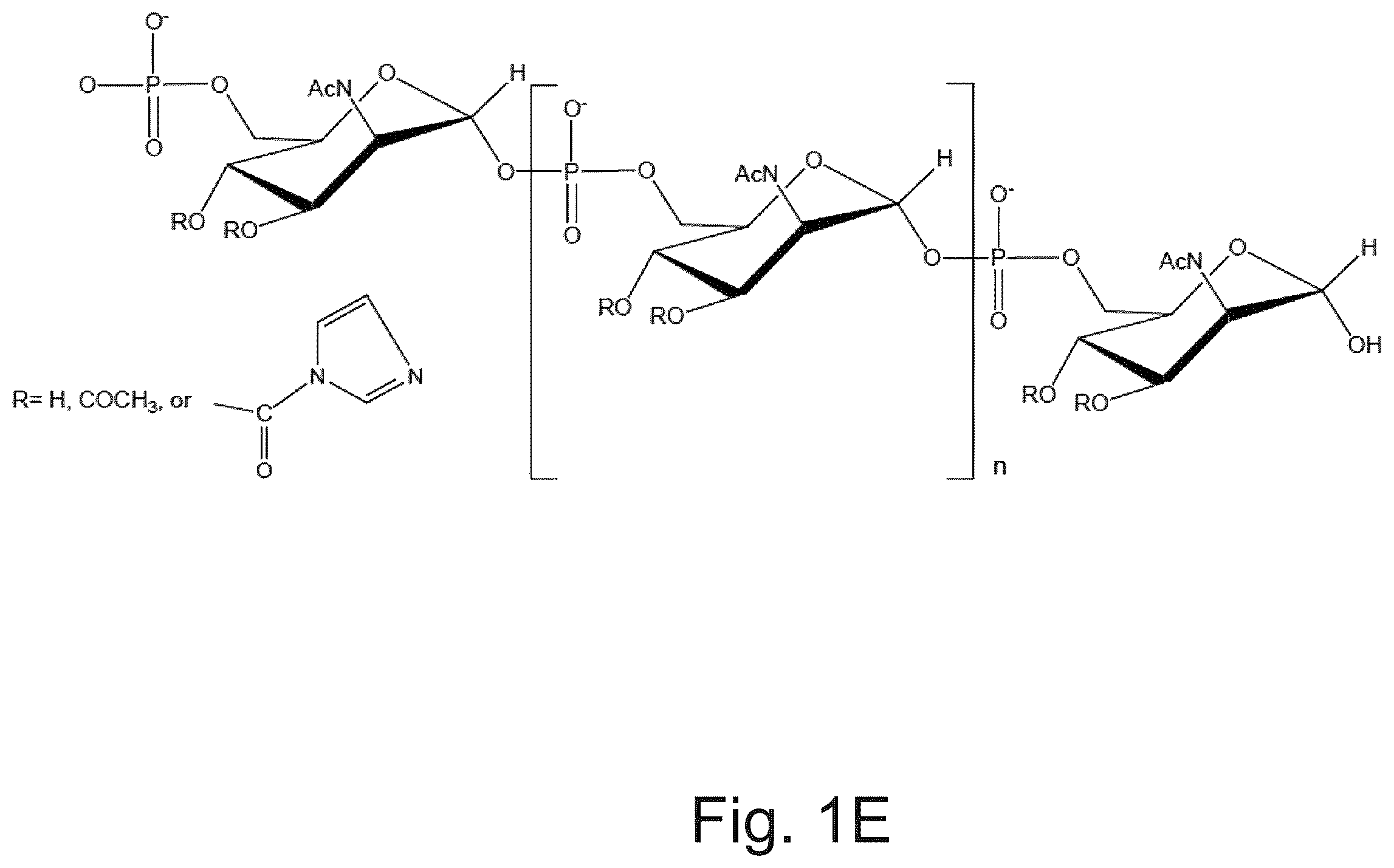 Patent US12611451 Figure 4 – Neisseria meningitidis vaccine