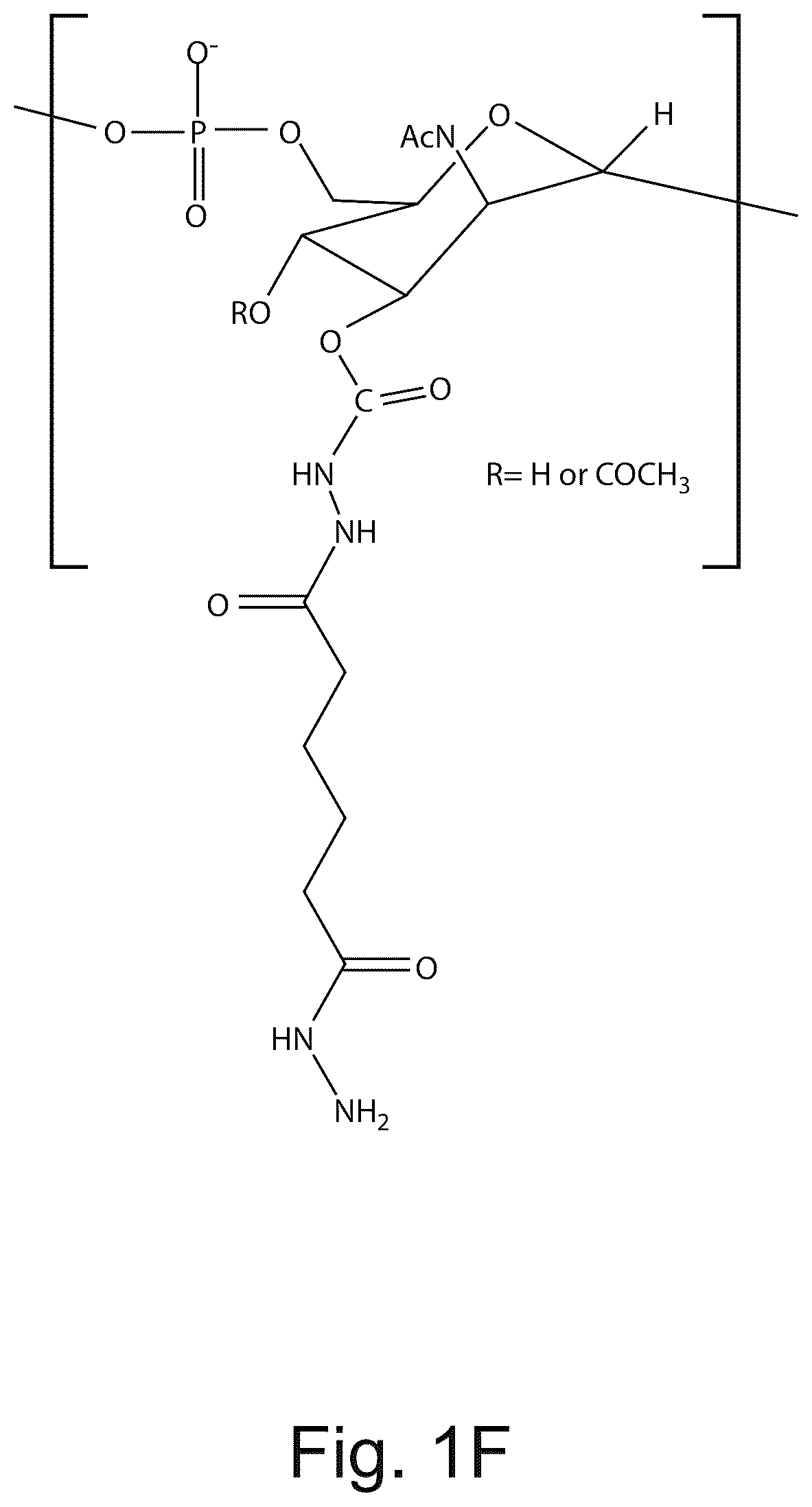 Patent US12611451 Figure 5 – Neisseria meningitidis vaccine
