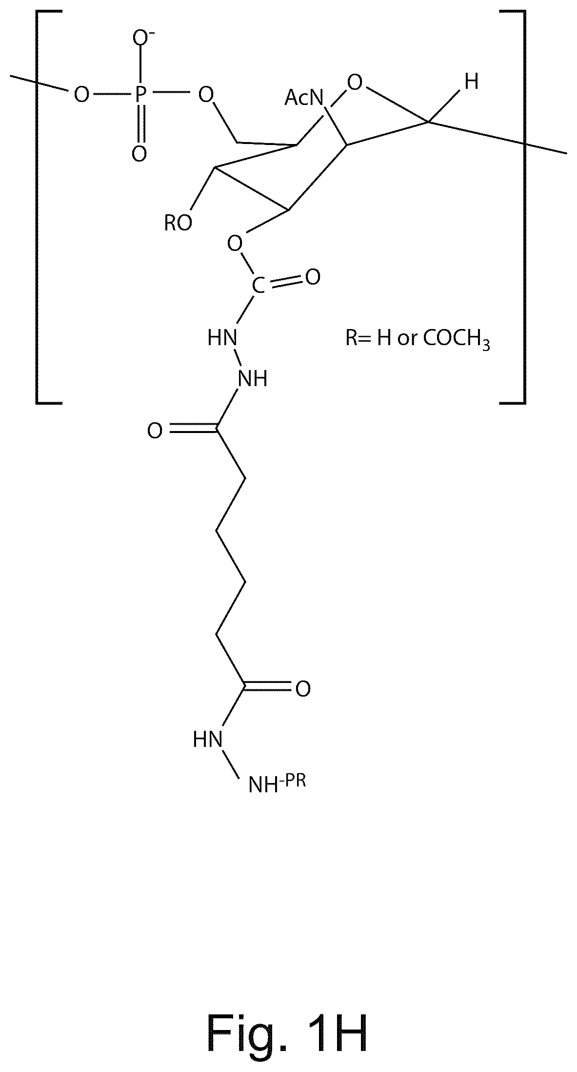 Patent US12611451 Figure 7 – Neisseria meningitidis vaccine