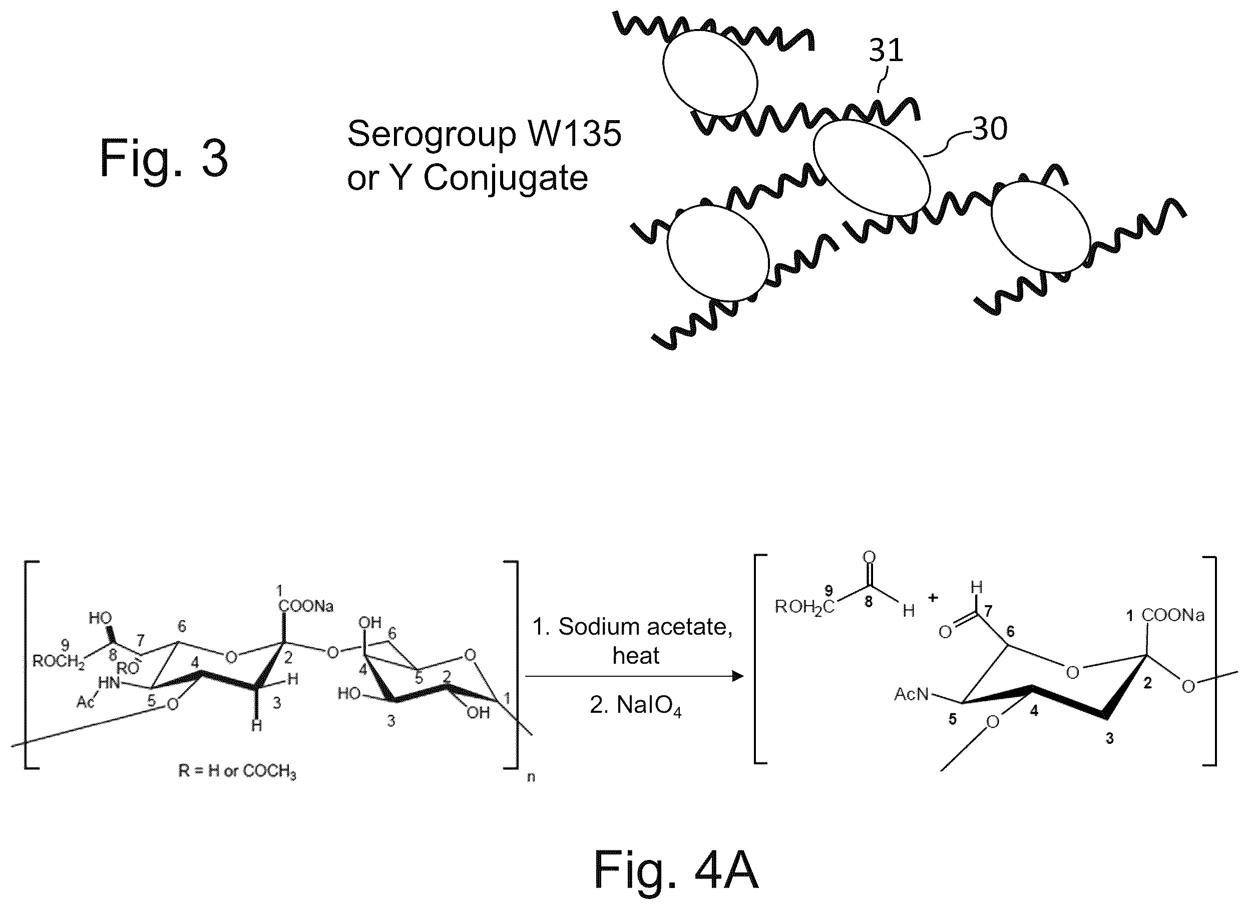 Patent US12611451 Figure 10 – Neisseria meningitidis vaccine