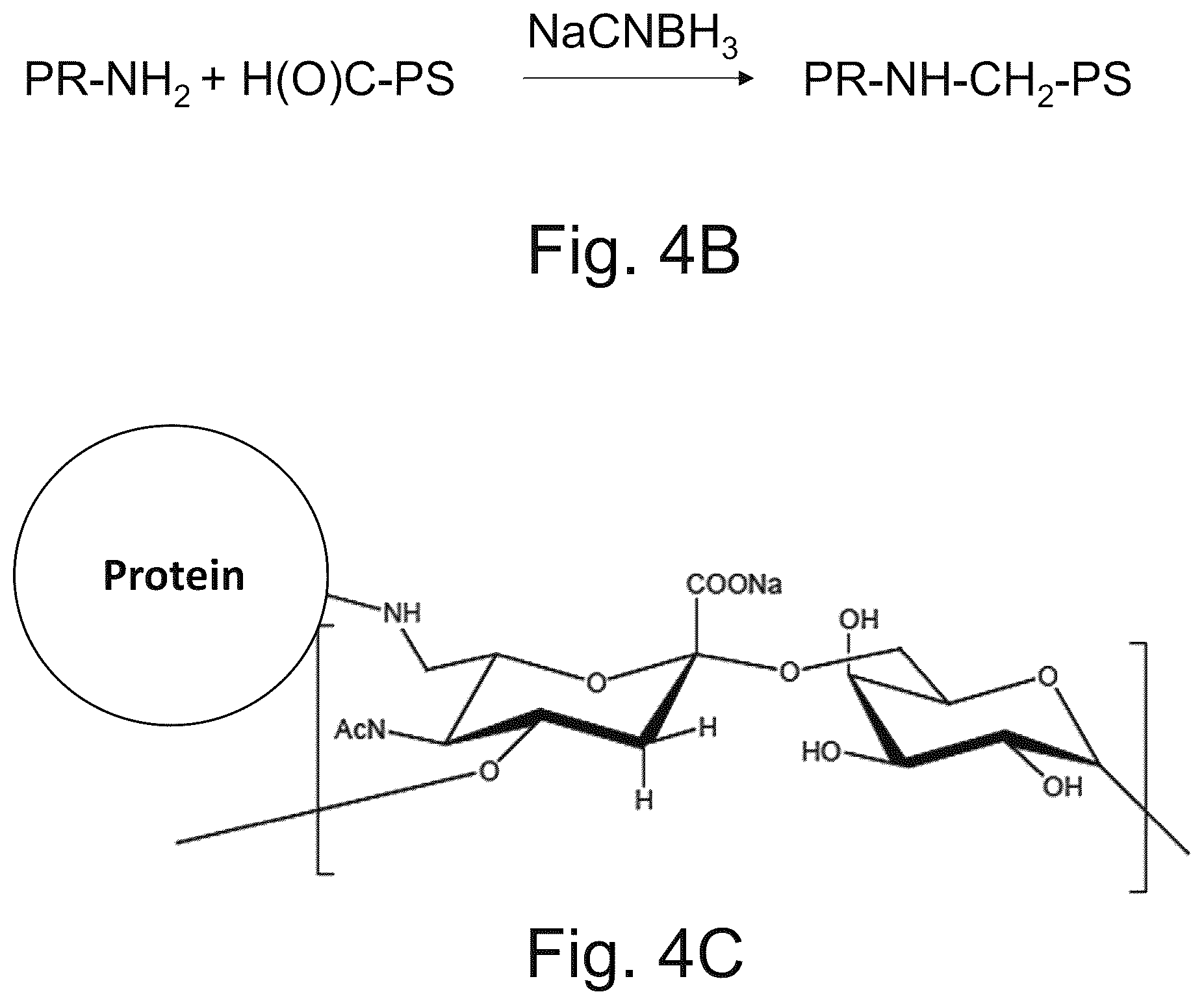 Patent US12611451 Figure 11 – Neisseria meningitidis vaccine