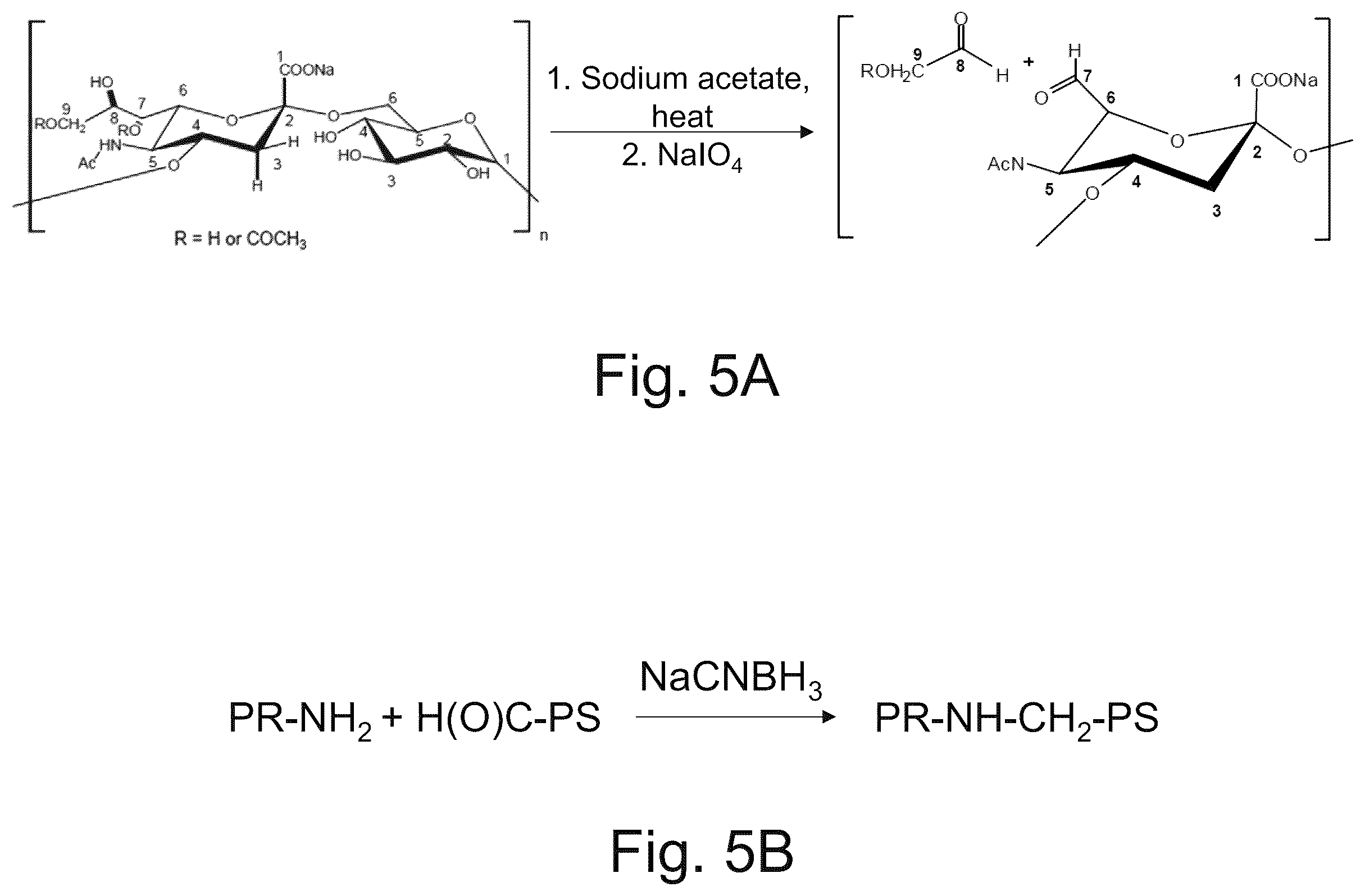 Patent US12611451 Figure 12 – Neisseria meningitidis vaccine