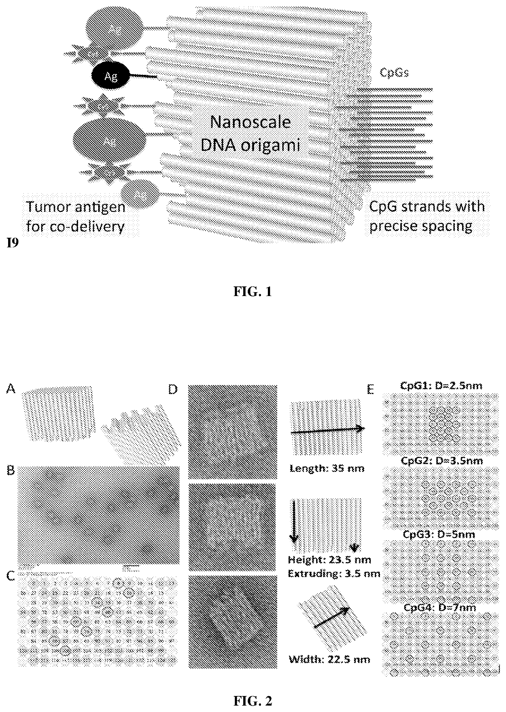 Patent US12611455 — DNA nanostructure-based vaccines — Figure 1