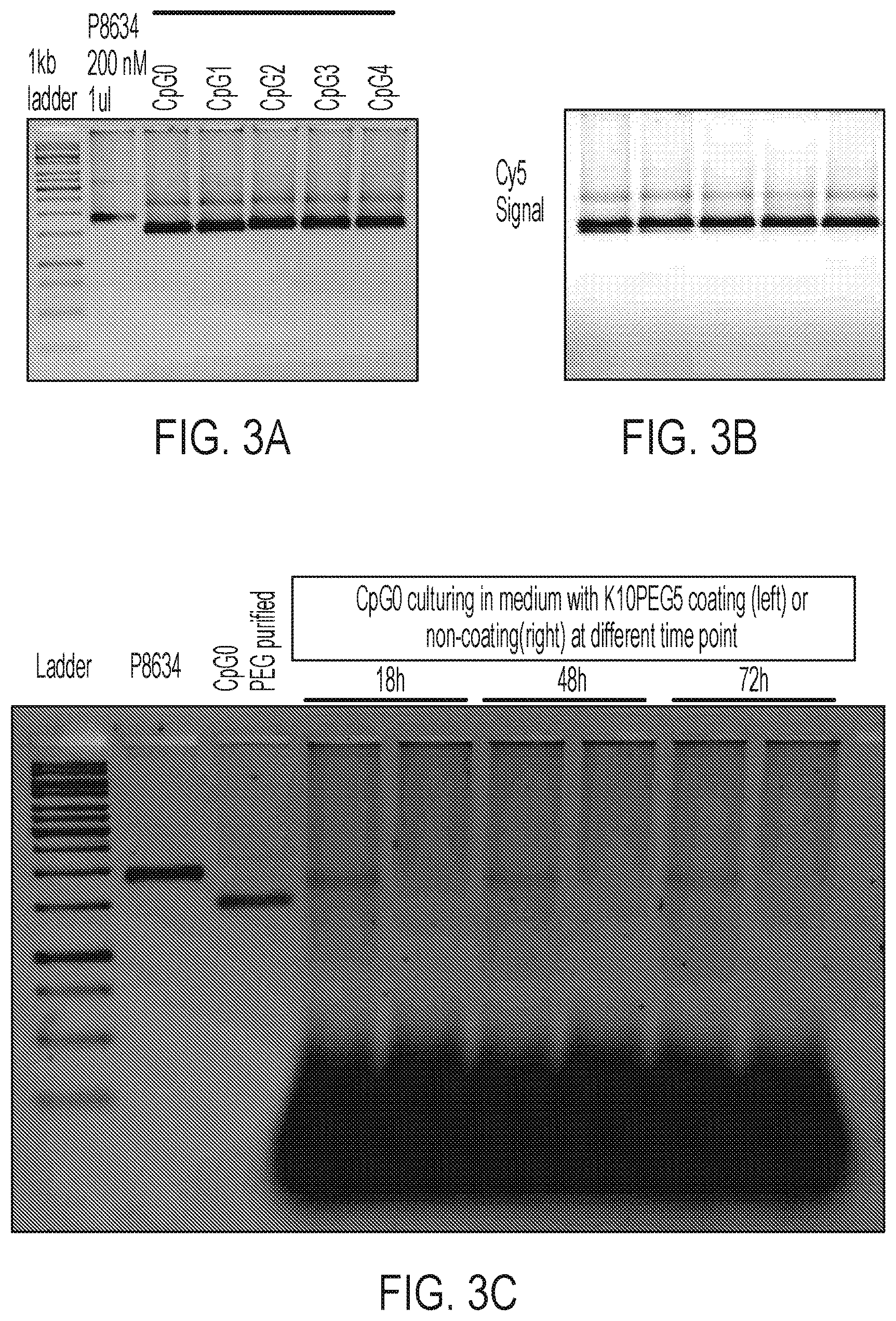 Patent US12611455 Figure 2 – DNA nanostructure-based vaccines