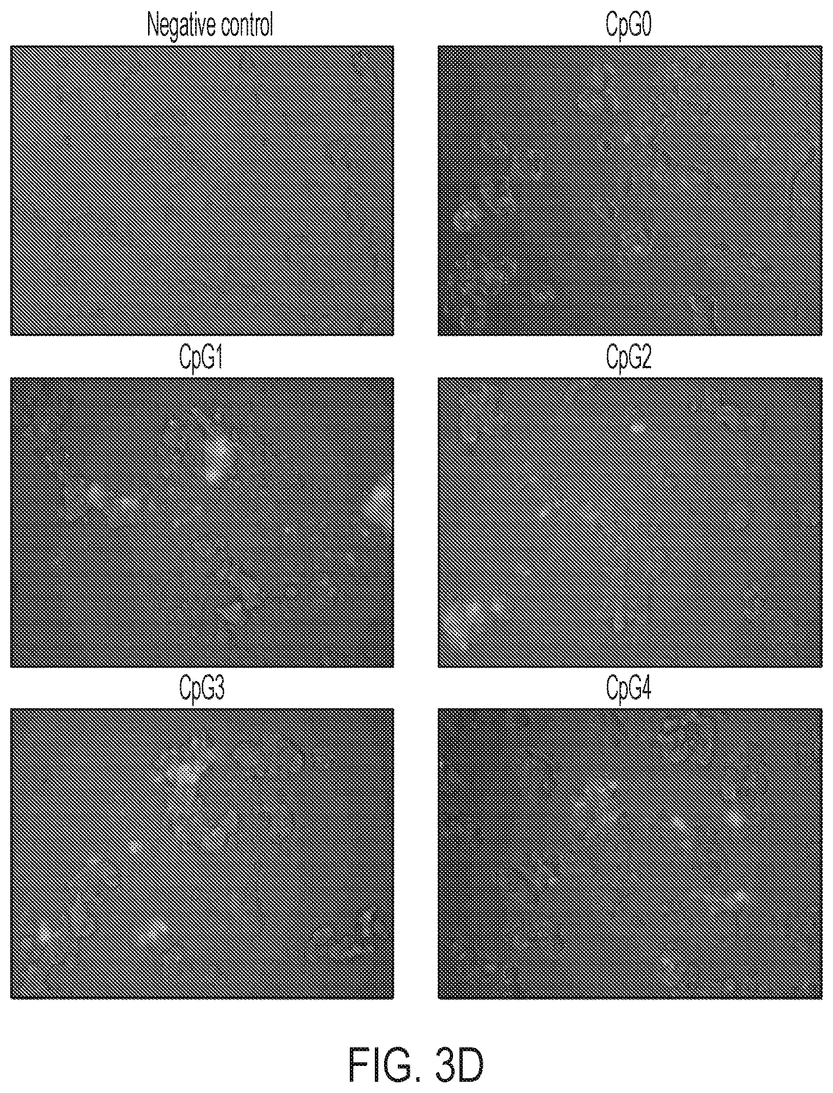 Patent US12611455 Figure 3 – DNA nanostructure-based vaccines