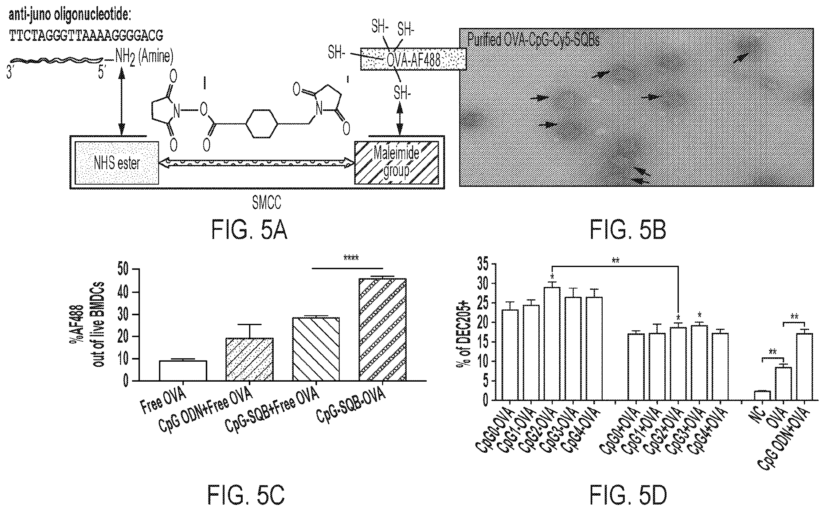 Patent US12611455 Figure 6 – DNA nanostructure-based vaccines
