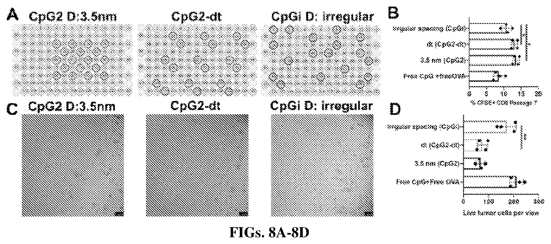 Patent US12611455 Figure 14 – DNA nanostructure-based vaccines