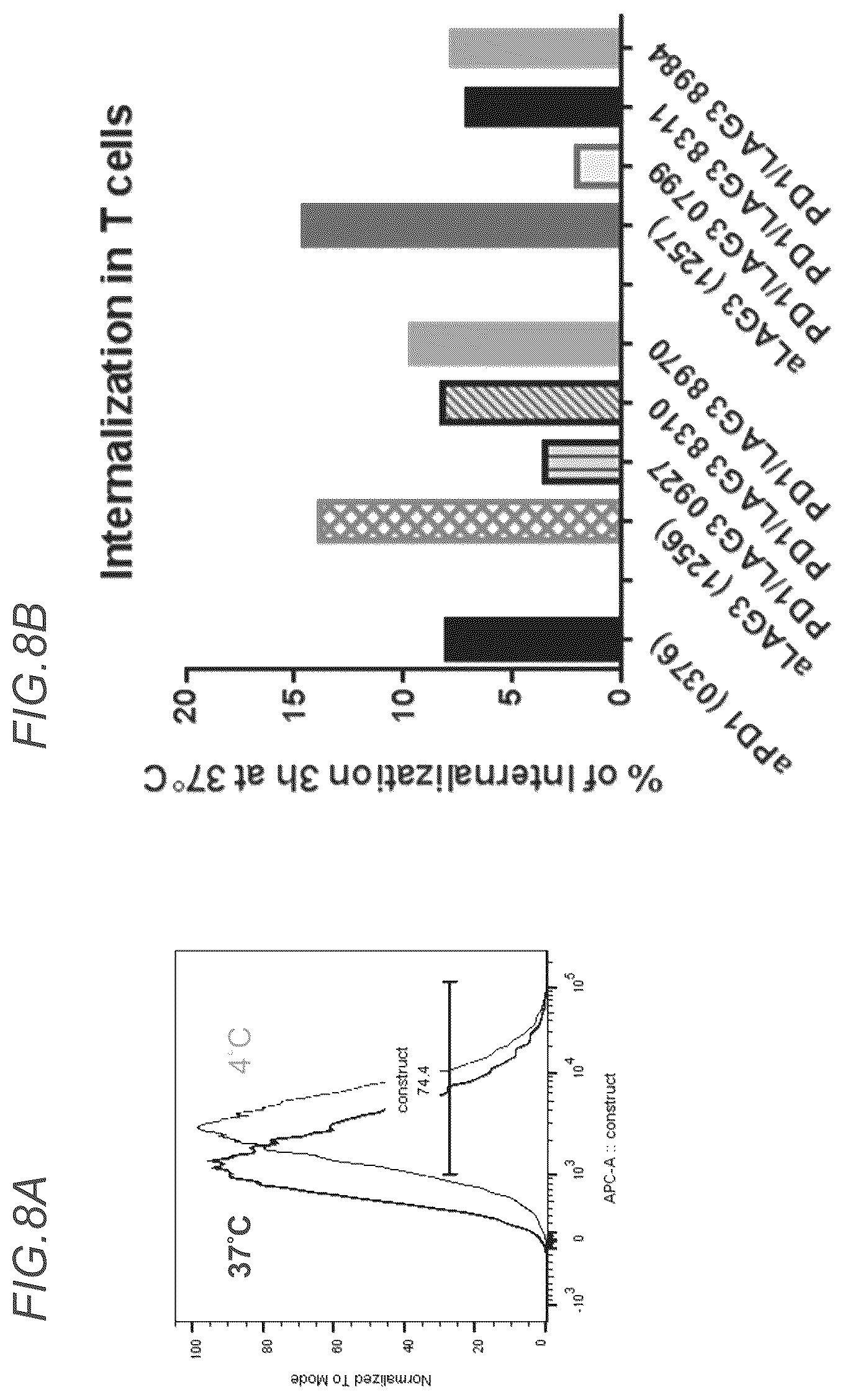 Patent US12611457 Figure 16 – Bispecific antibodies specifically binding to PD1 and LAG3