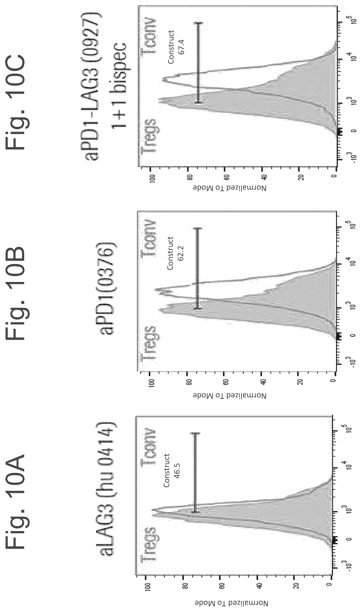 Patent US12611457 Figure 19 – Bispecific antibodies specifically binding to PD1 and LAG3