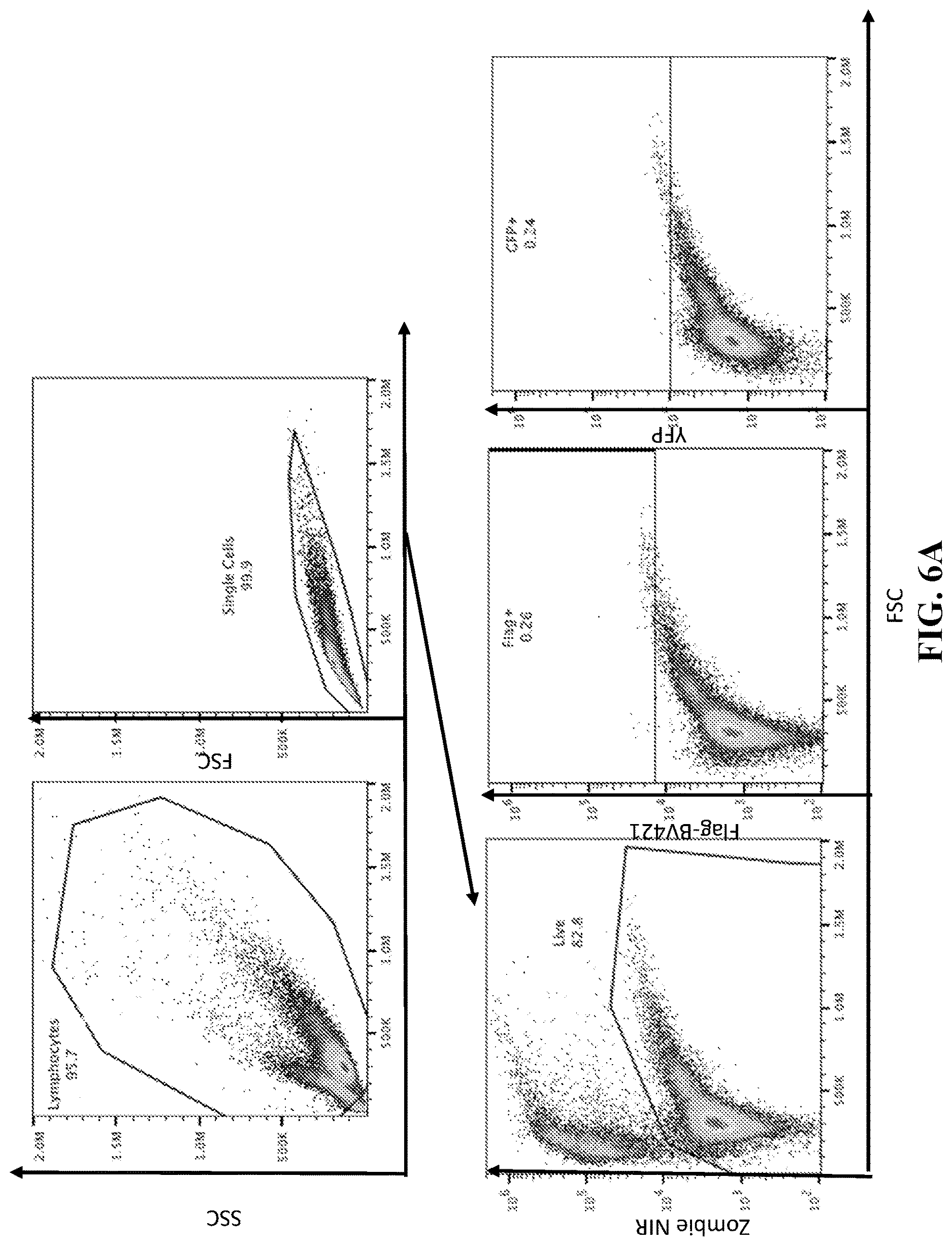 Patent US12611458 Figure 9 – Chimeric receptors and methods of use thereof