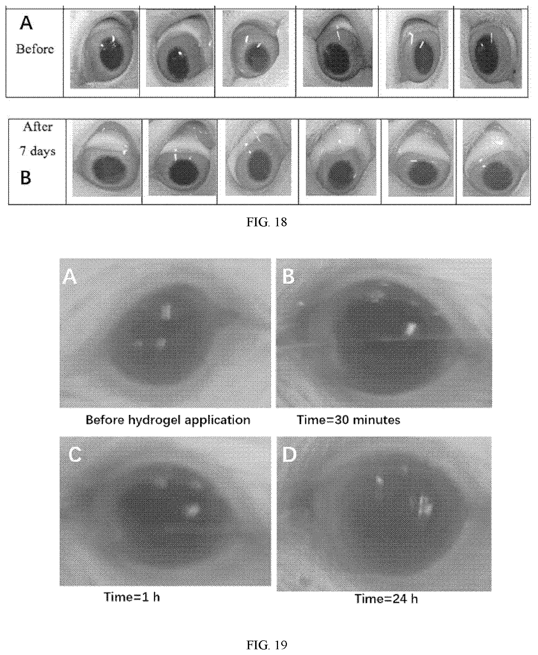 Patent US12611460 Figure 12 – Eyedrop compositions