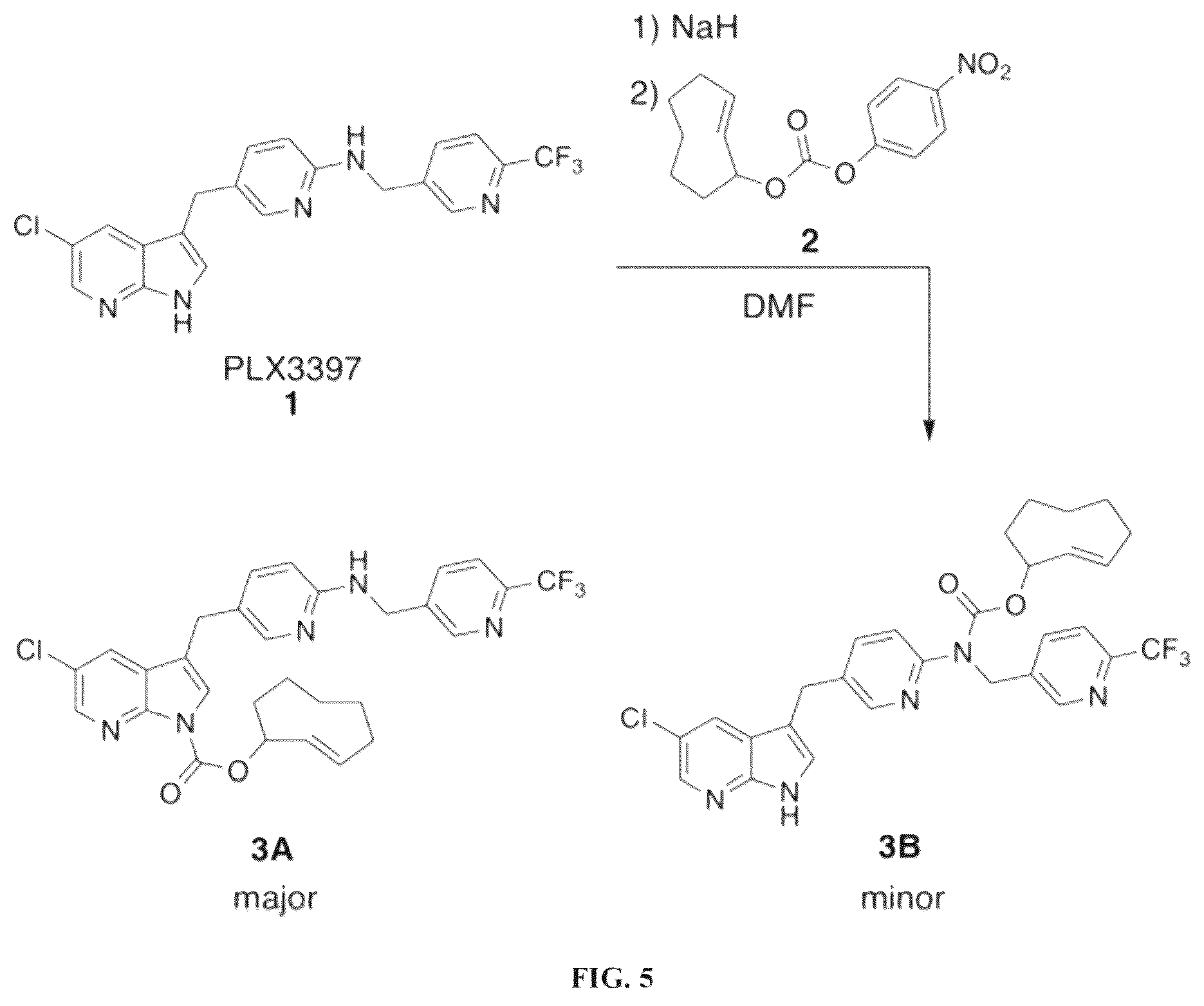 Patent US12611461 Figure 5 – Bioorthogonal compositions