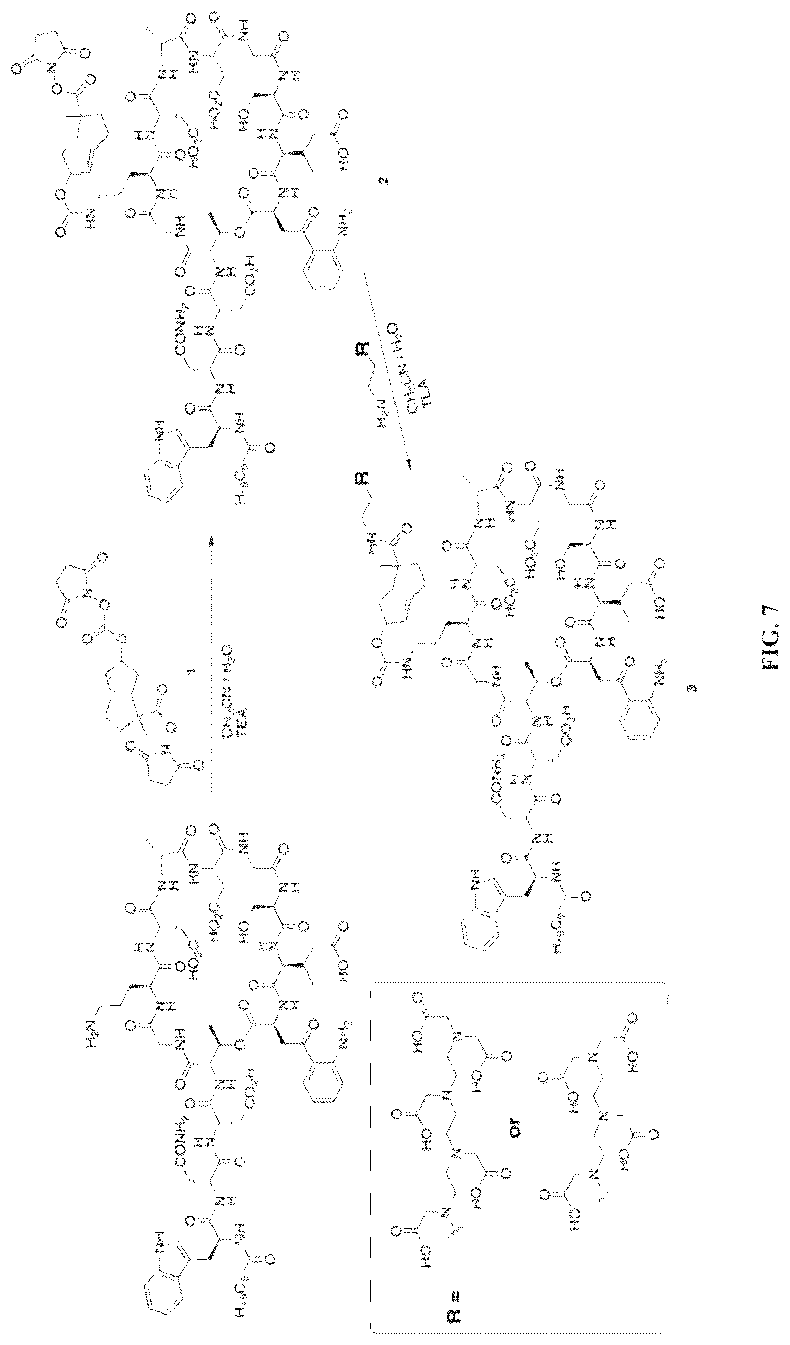 Patent US12611461 Figure 7 – Bioorthogonal compositions