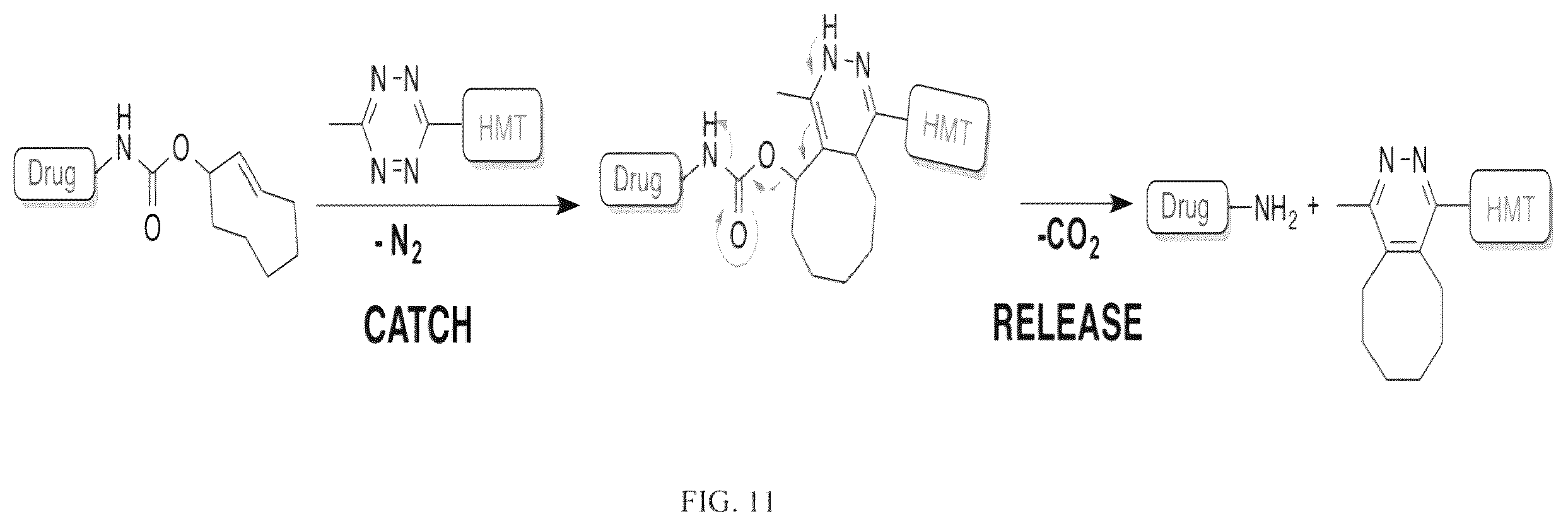 Patent US12611461 Figure 11 – Bioorthogonal compositions