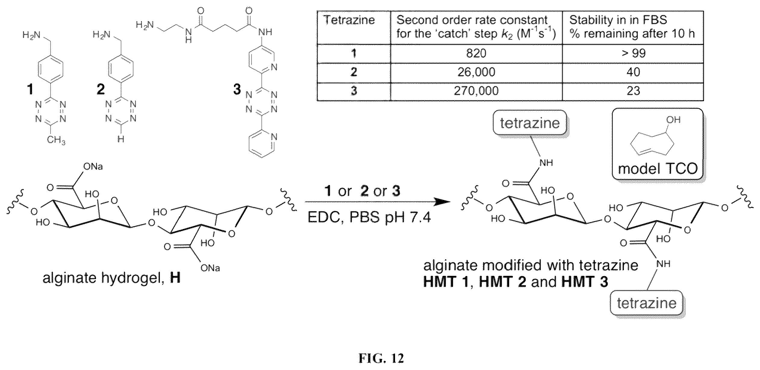 Patent US12611461 Figure 12 – Bioorthogonal compositions