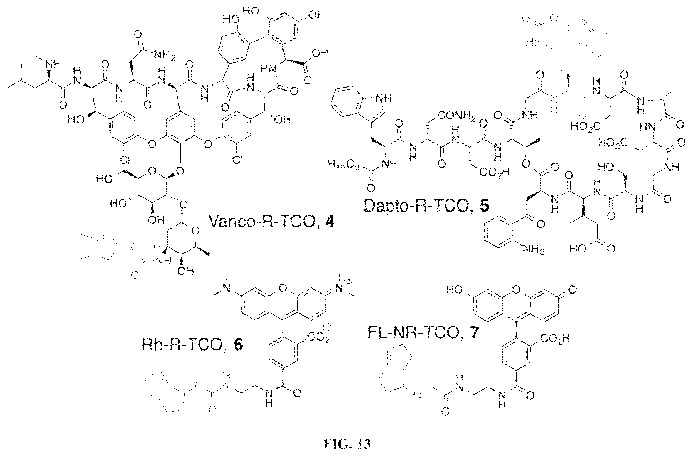 Patent US12611461 Figure 13 – Bioorthogonal compositions