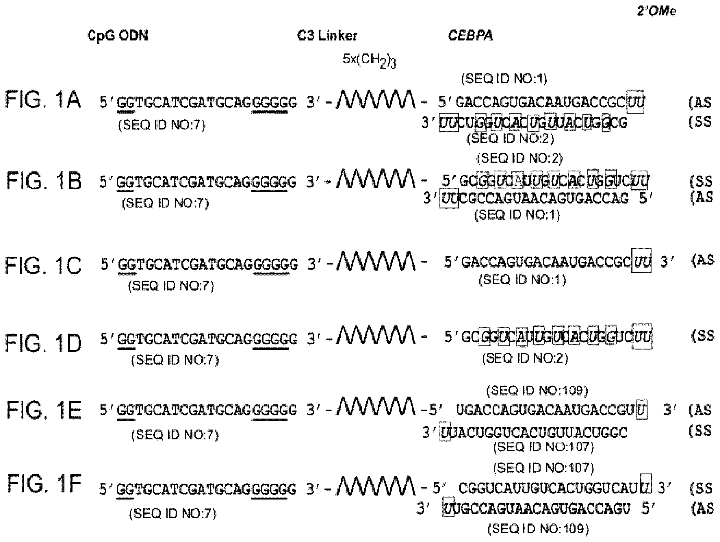 Patent US12611462 Figure 1 – Compounds and compositions including phosphorothioated oligodeoxynucleotide, and methods of use thereof