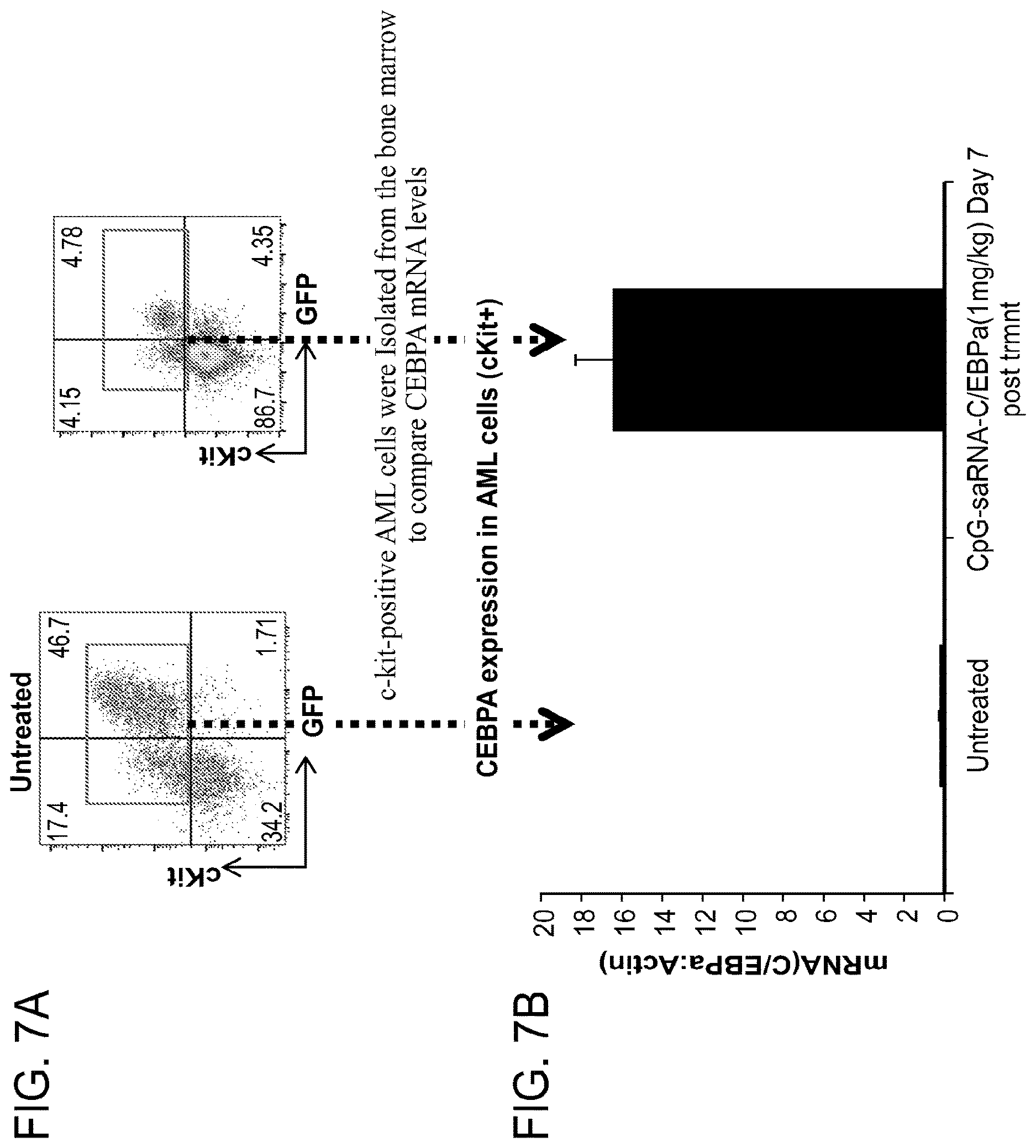 Patent US12611462 Figure 7 – Compounds and compositions including phosphorothioated oligodeoxynucleotide, and methods of use thereof