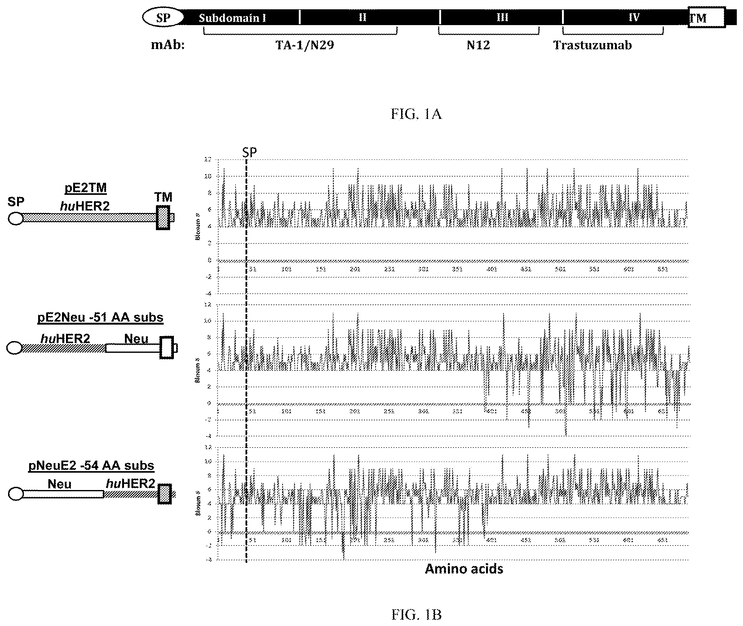 Patent US12611463 Figure 1 – Methods and immunogenic compositions relating to HER2 with selective sequence modifications