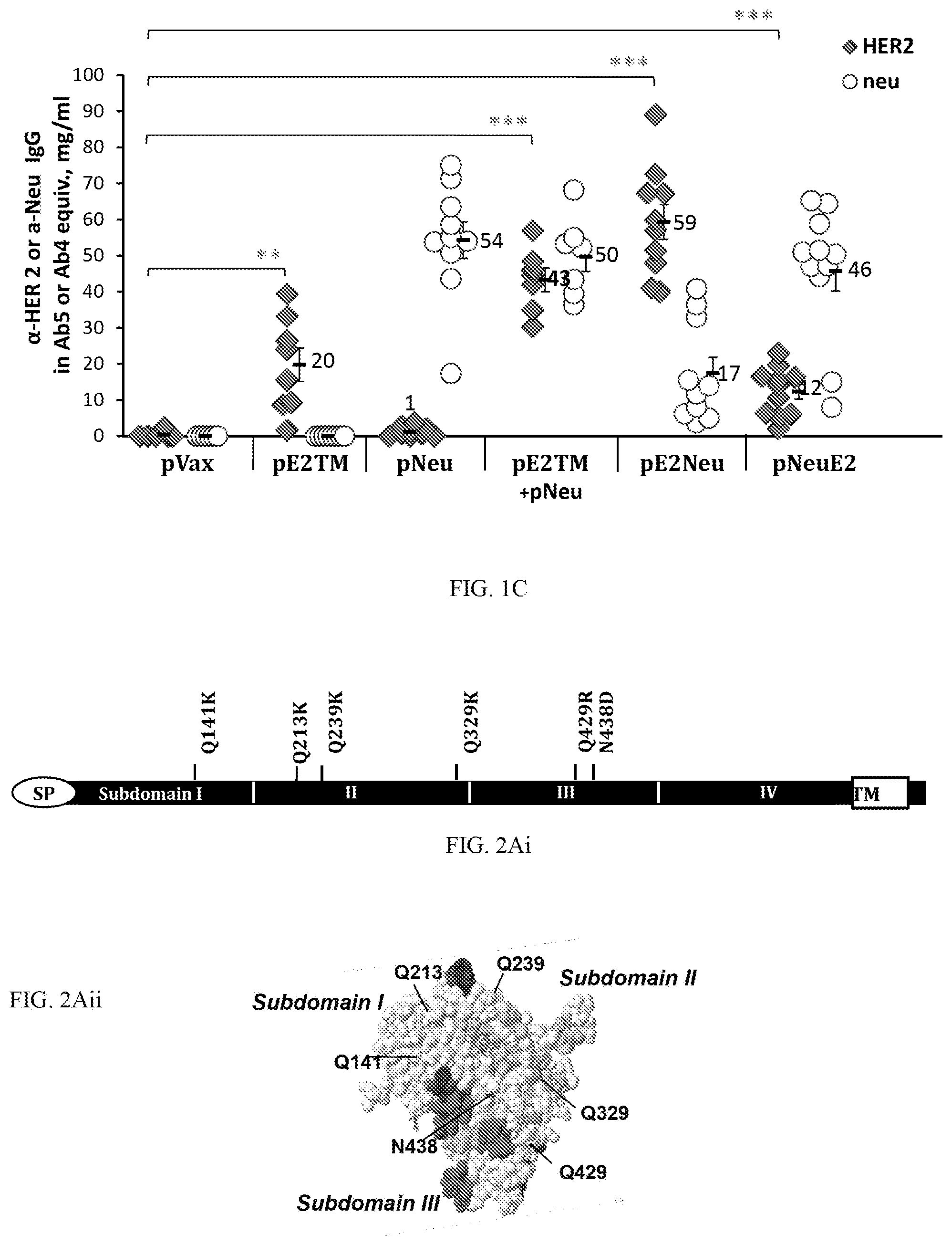 Patent US12611463 Figure 2 – Methods and immunogenic compositions relating to HER2 with selective sequence modifications