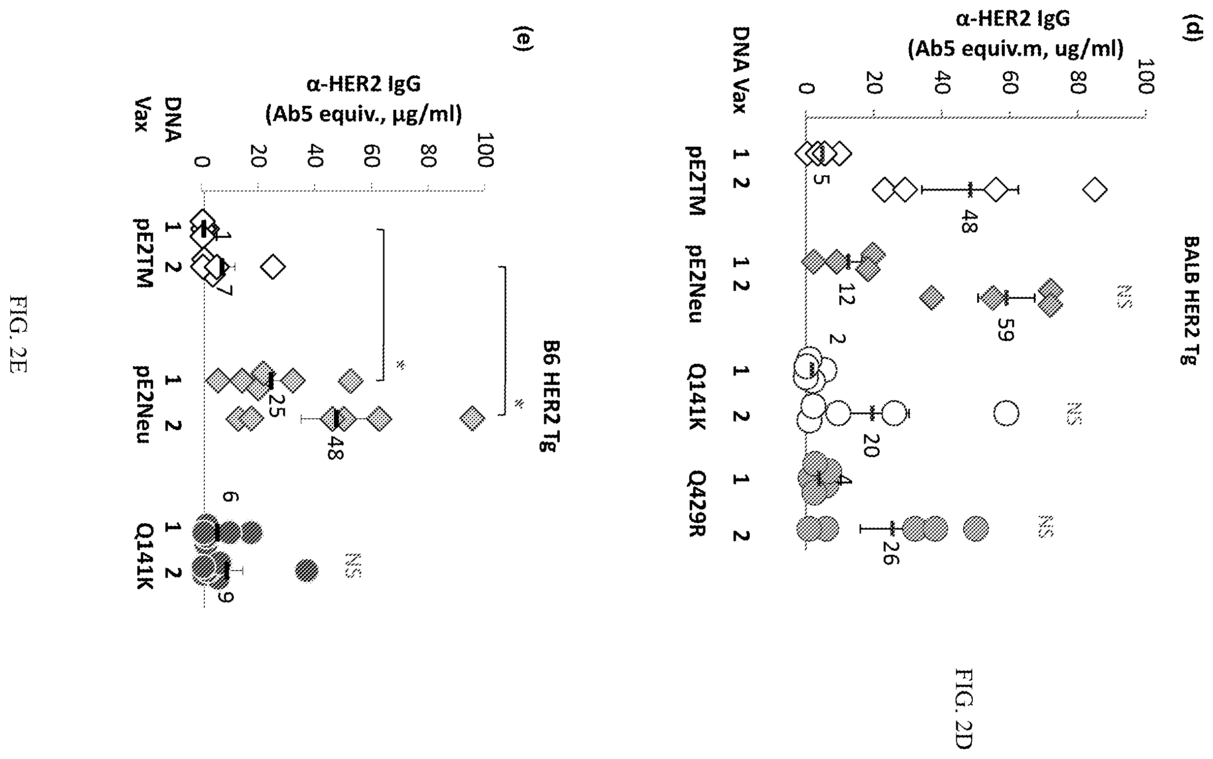 Patent US12611463 Figure 4 – Methods and immunogenic compositions relating to HER2 with selective sequence modifications