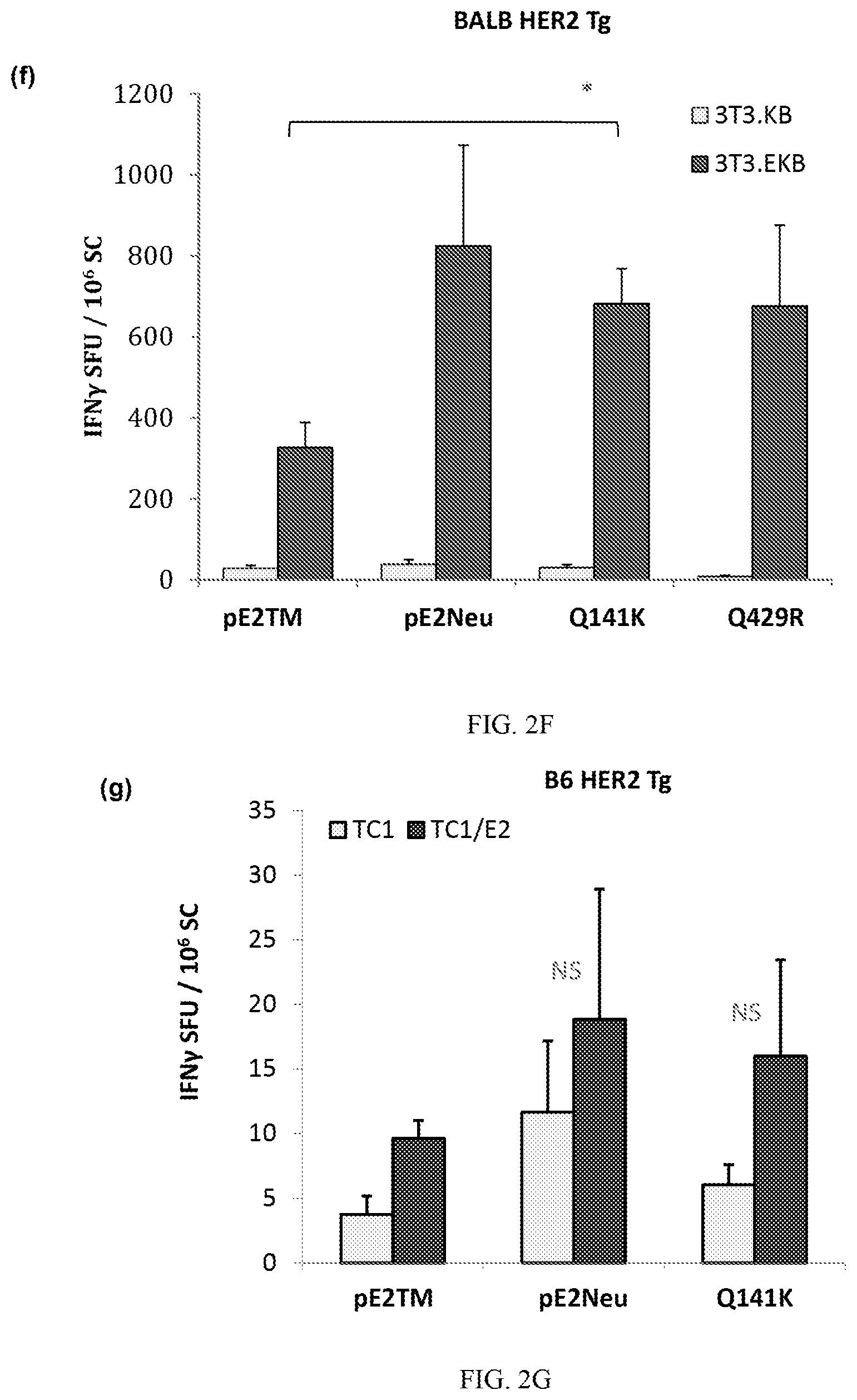 Patent US12611463 Figure 5 – Methods and immunogenic compositions relating to HER2 with selective sequence modifications