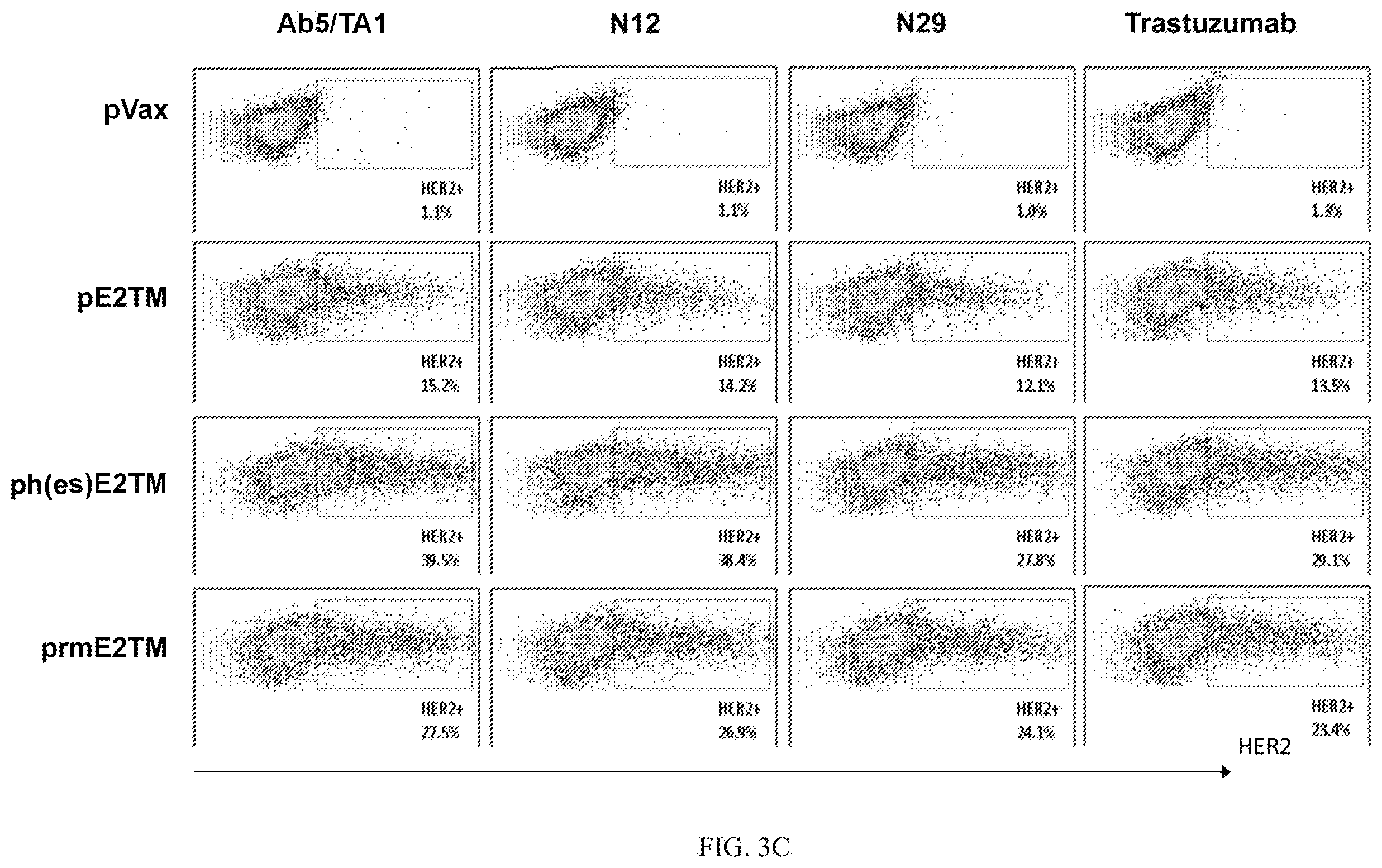 Patent US12611463 Figure 7 – Methods and immunogenic compositions relating to HER2 with selective sequence modifications
