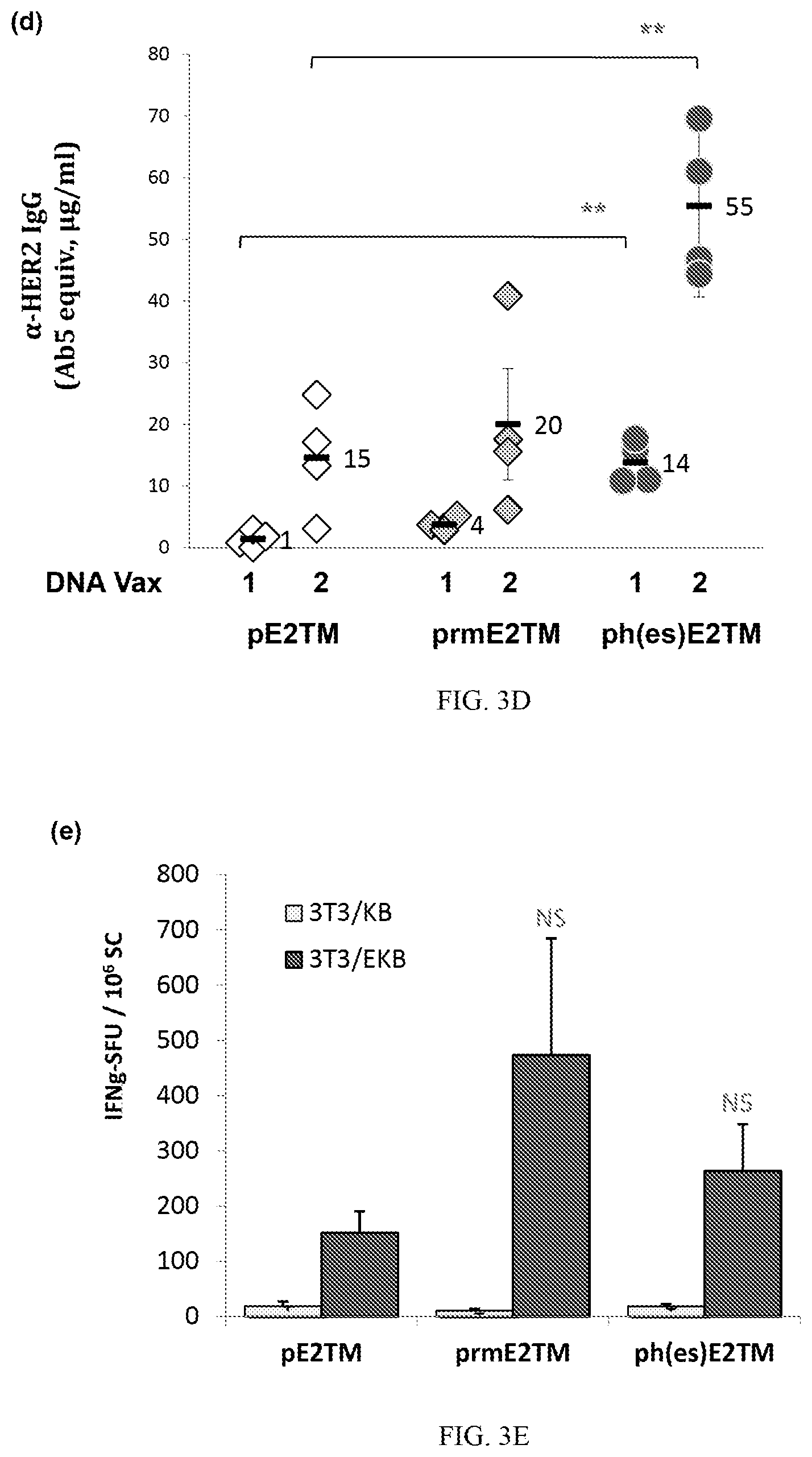 Patent US12611463 Figure 8 – Methods and immunogenic compositions relating to HER2 with selective sequence modifications