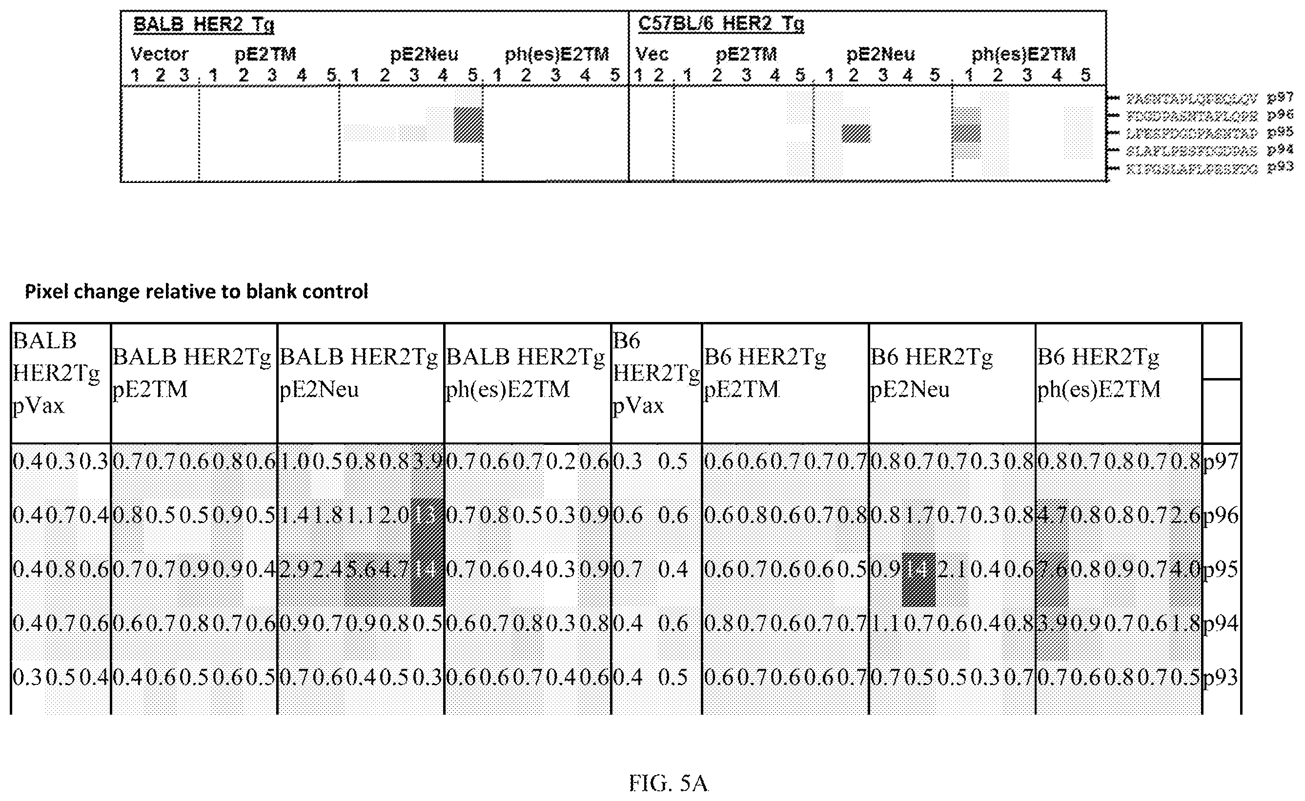 Patent US12611463 Figure 11 – Methods and immunogenic compositions relating to HER2 with selective sequence modifications
