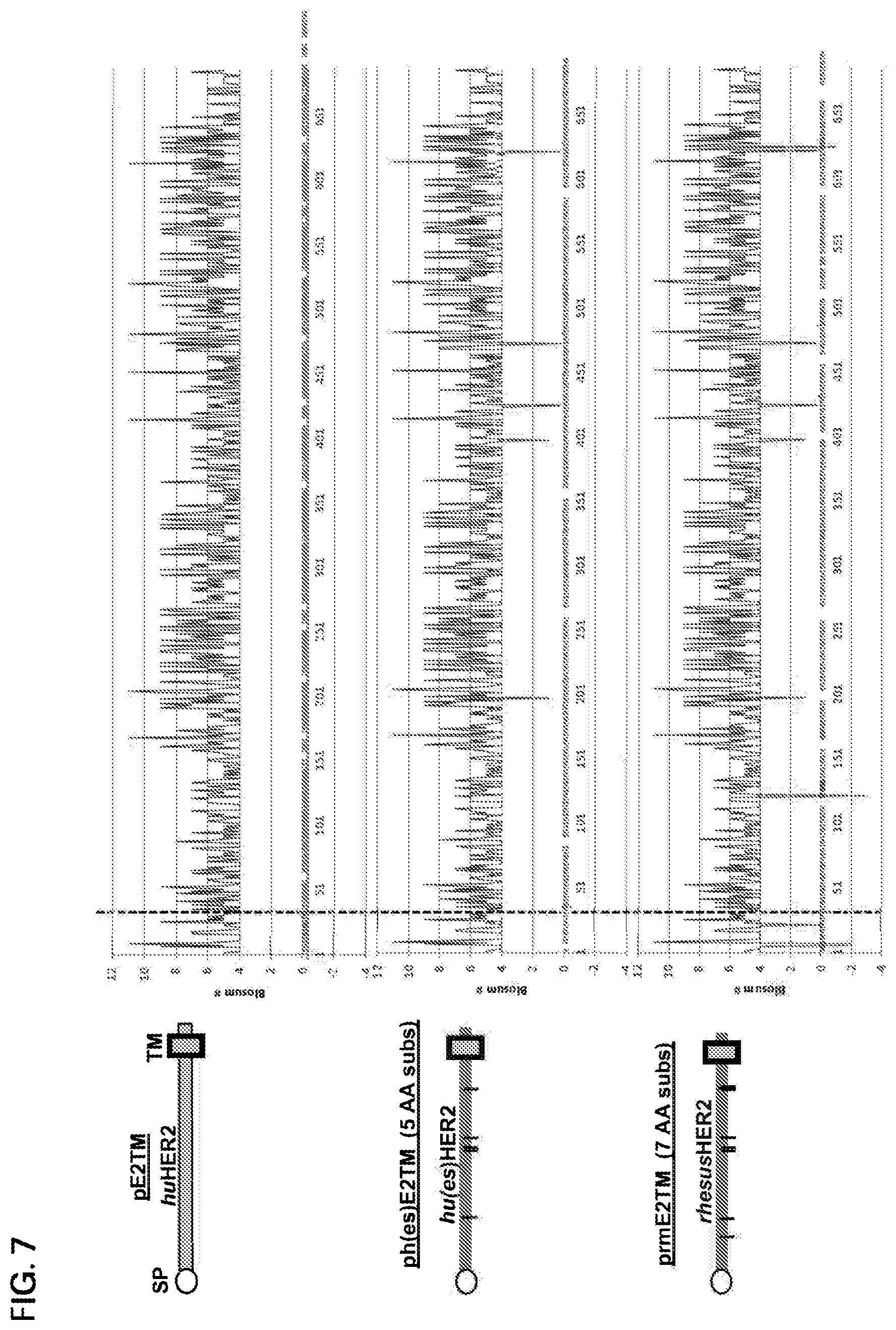 Patent US12611463 Figure 15 – Methods and immunogenic compositions relating to HER2 with selective sequence modifications